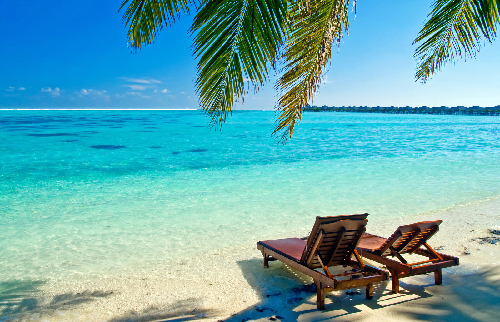 桌面上的壁纸马尔代夫 棕榈树 海滩度假