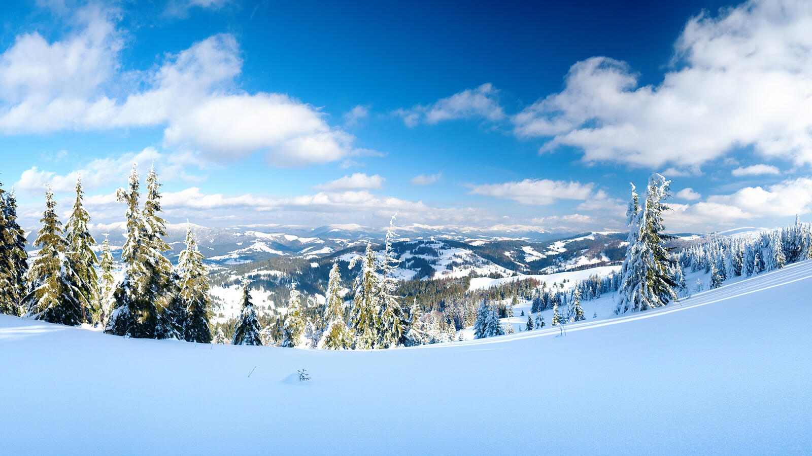 Wallpapers landscapes snow winter on the desktop