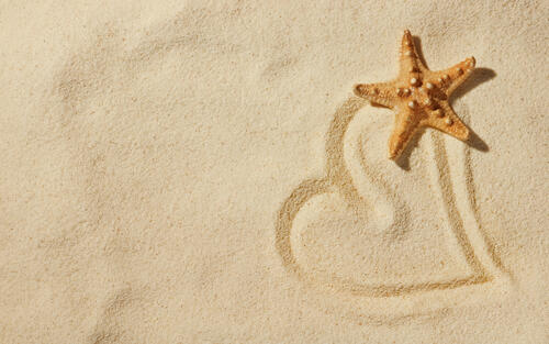 песок звезда сердце