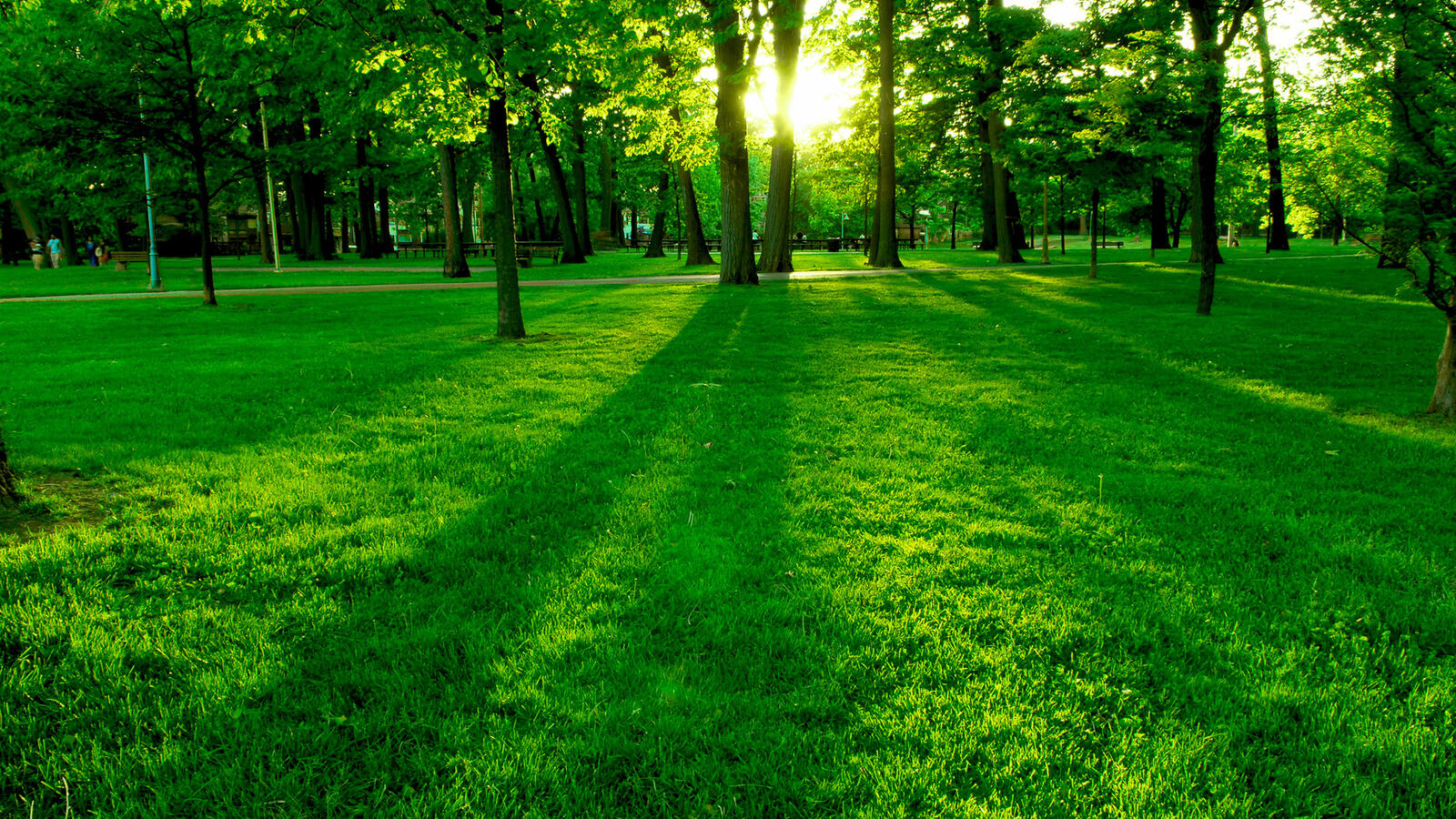 Wallpapers park people grass on the desktop