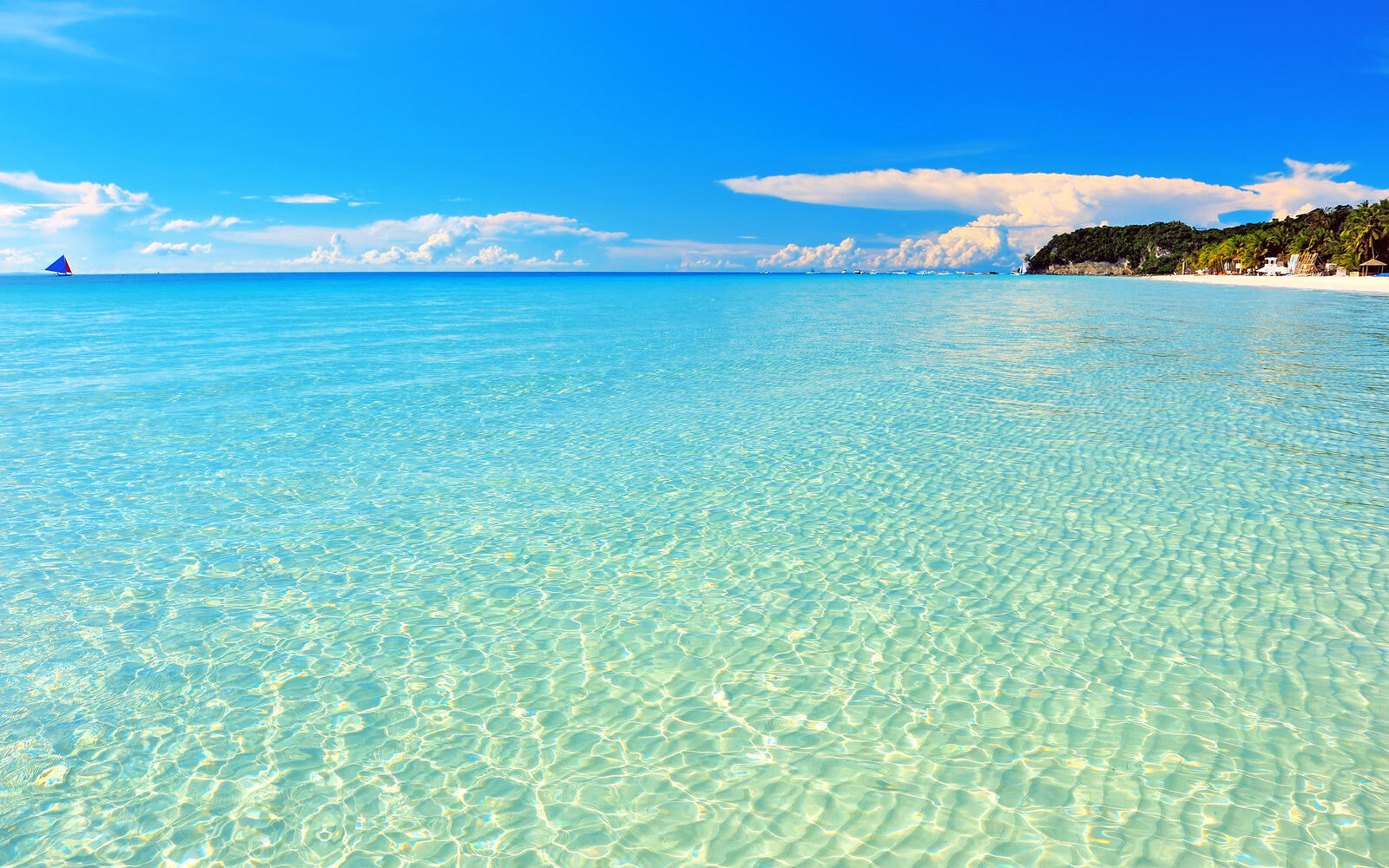 Wallpapers transparent water beach clear water on the desktop