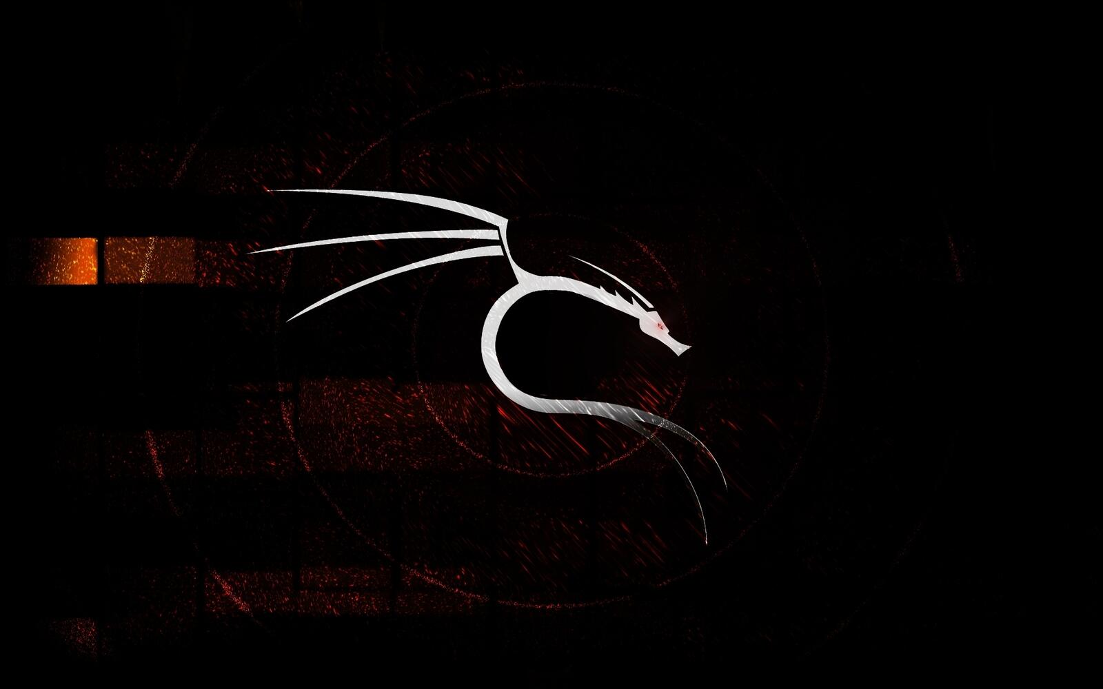 Wallpapers dragon white black background on the desktop