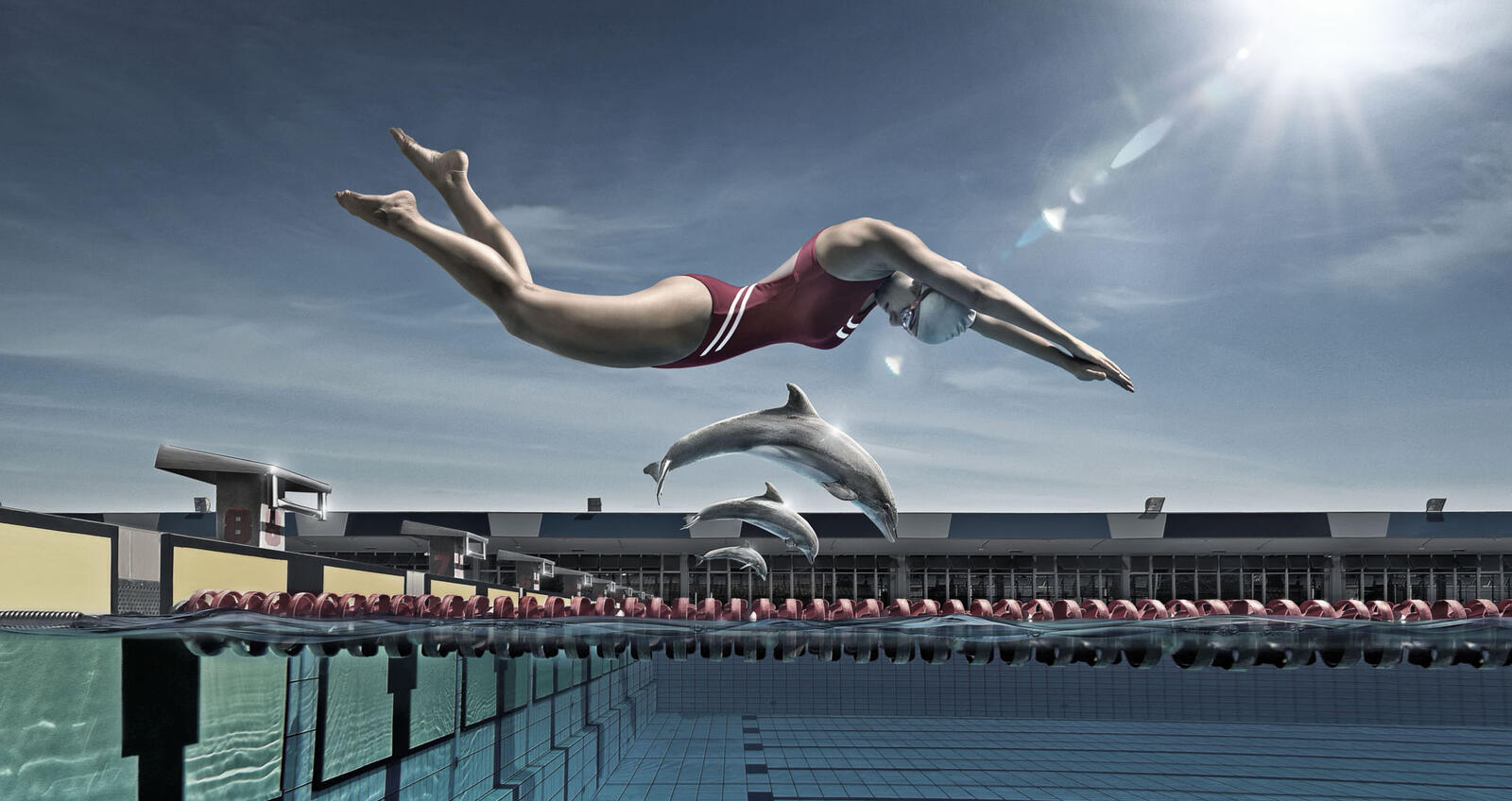 Wallpapers swimmer jump dive on the desktop