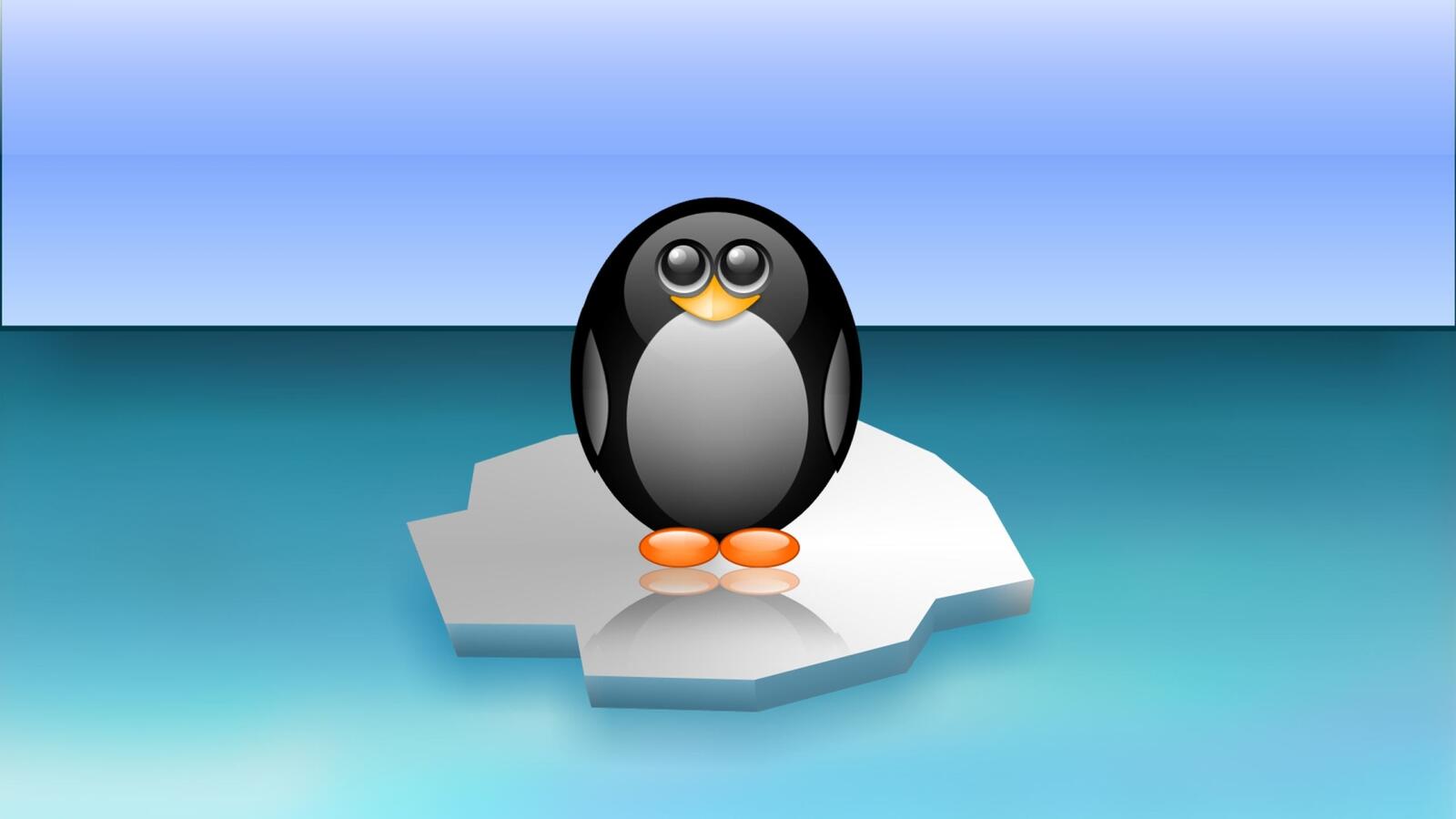 Обои пингвин льдина море на рабочий стол