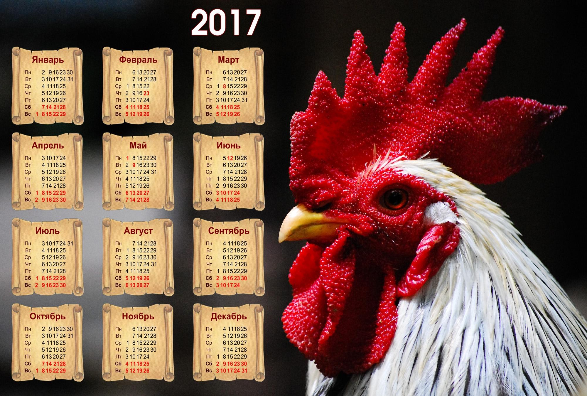 Обои птица символ петуха 2017 календарь на рабочий стол