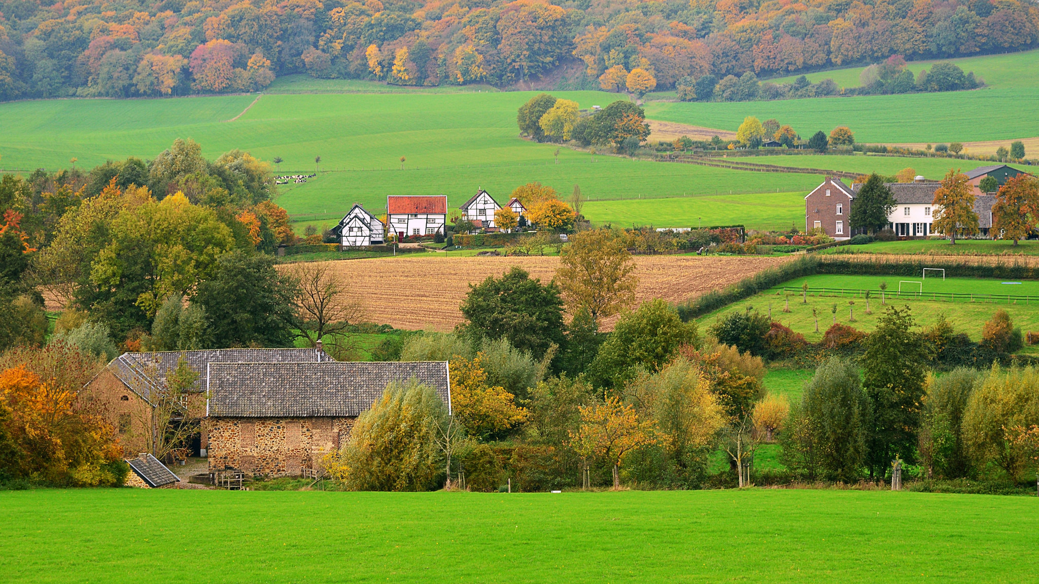 Как будет по английски поля. Лимбург Голландия. Ирландия Сельская местность. Домик в поле. Осень в деревне Великобритании.