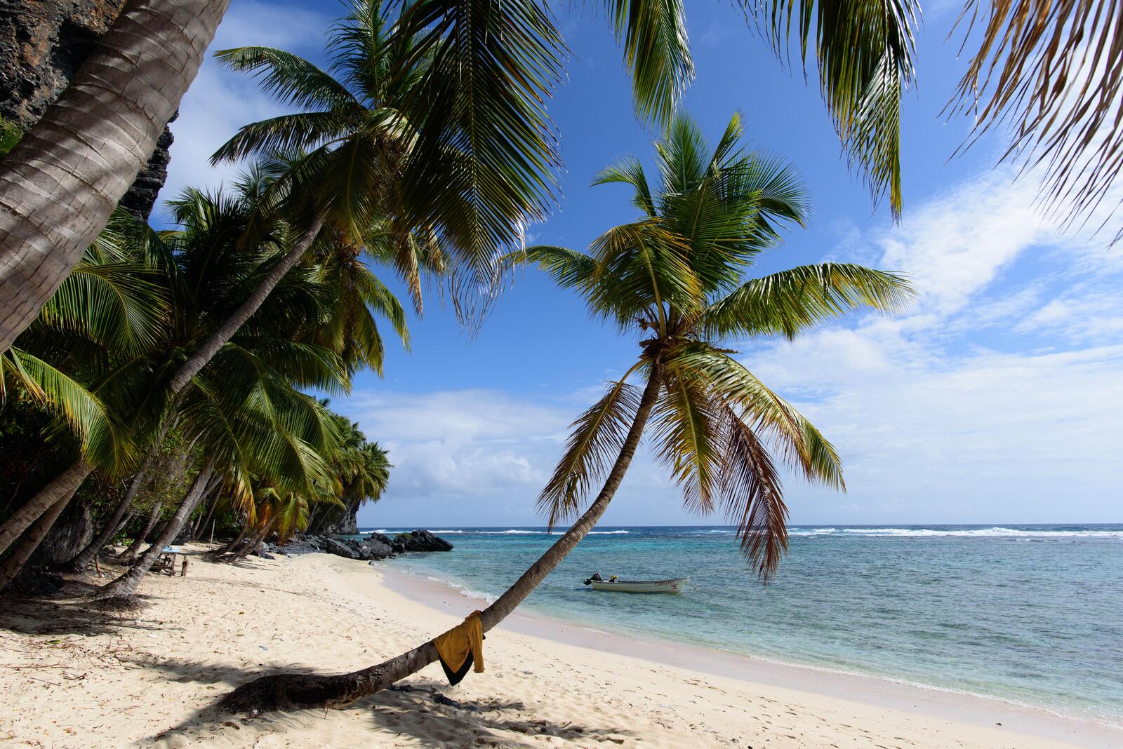 桌面上的壁纸景观 岸边 萨马纳 多米尼加共和国