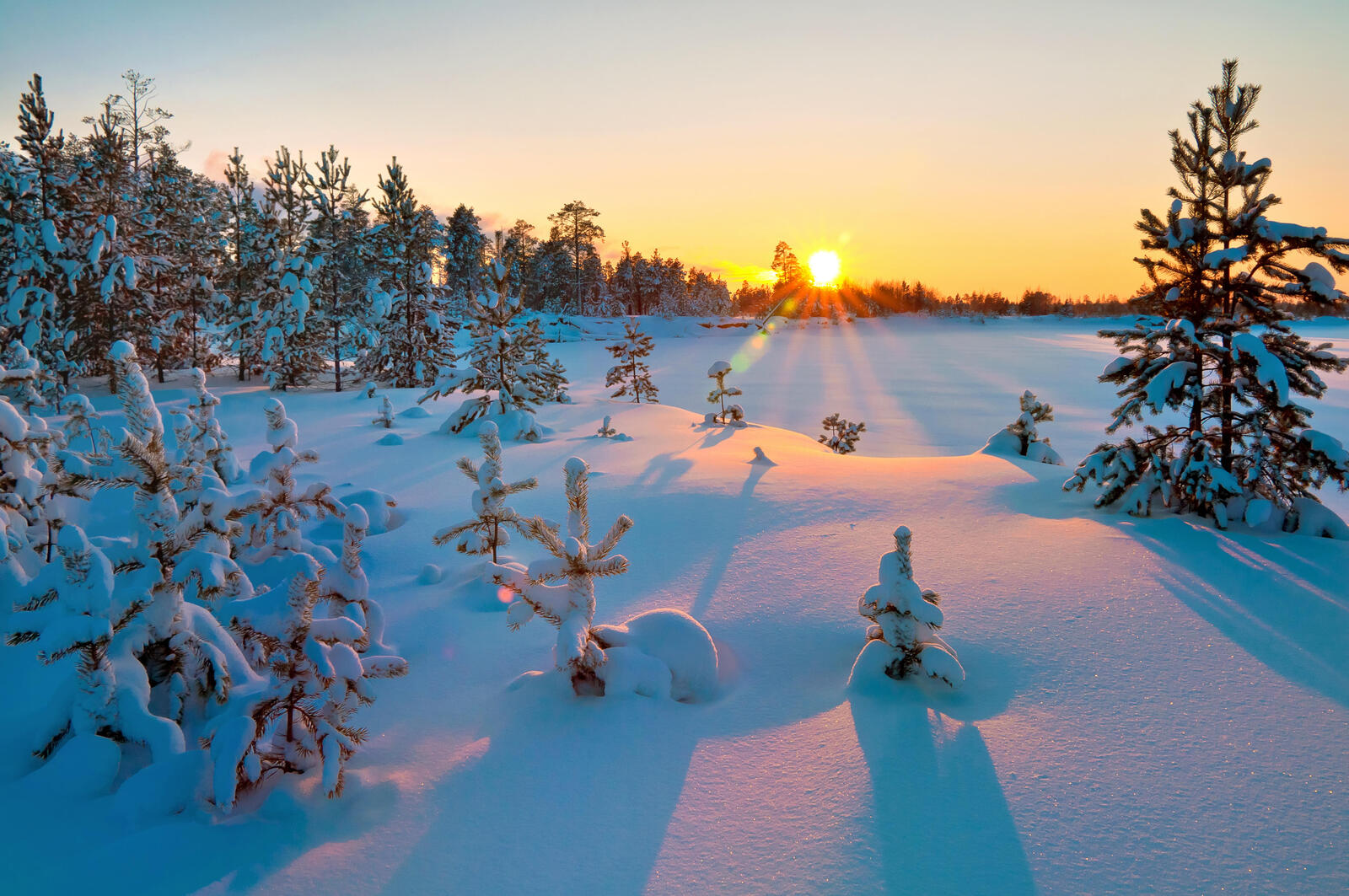 Бесплатное фото Картинка про снег, зима