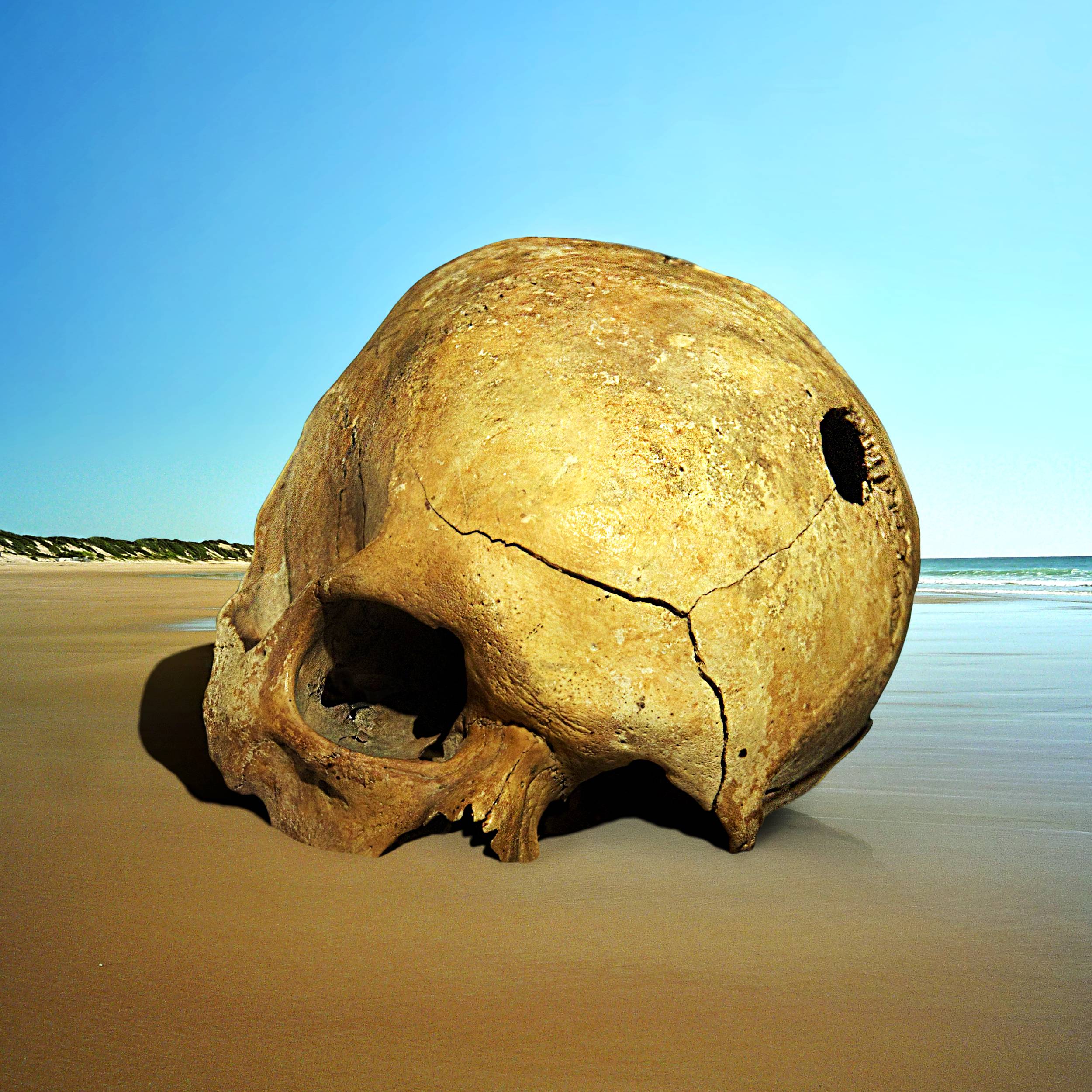 Wallpapers sea shore skull on the desktop