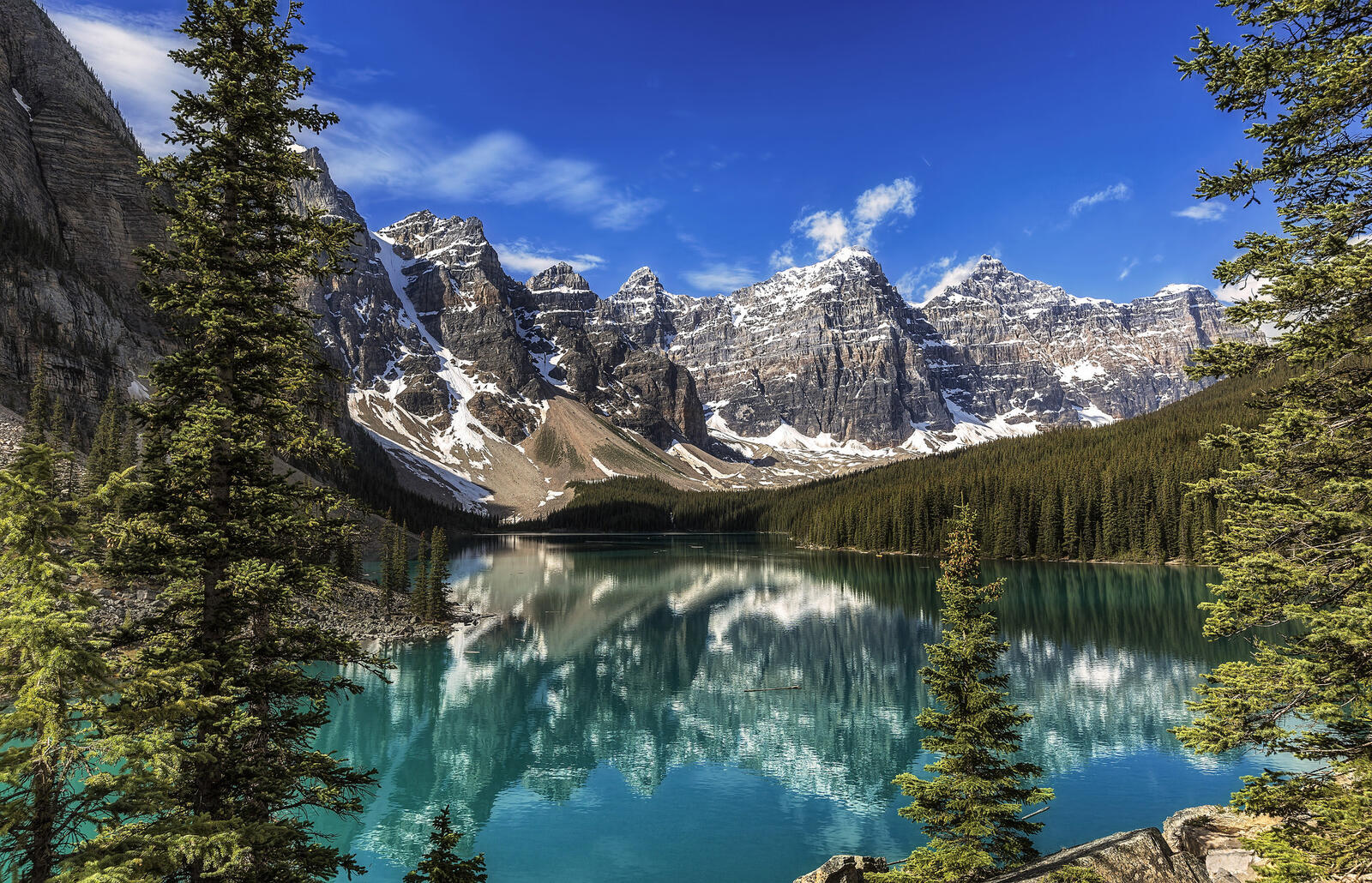 Wallpapers moraine lake coniferous forest lake blue on the desktop