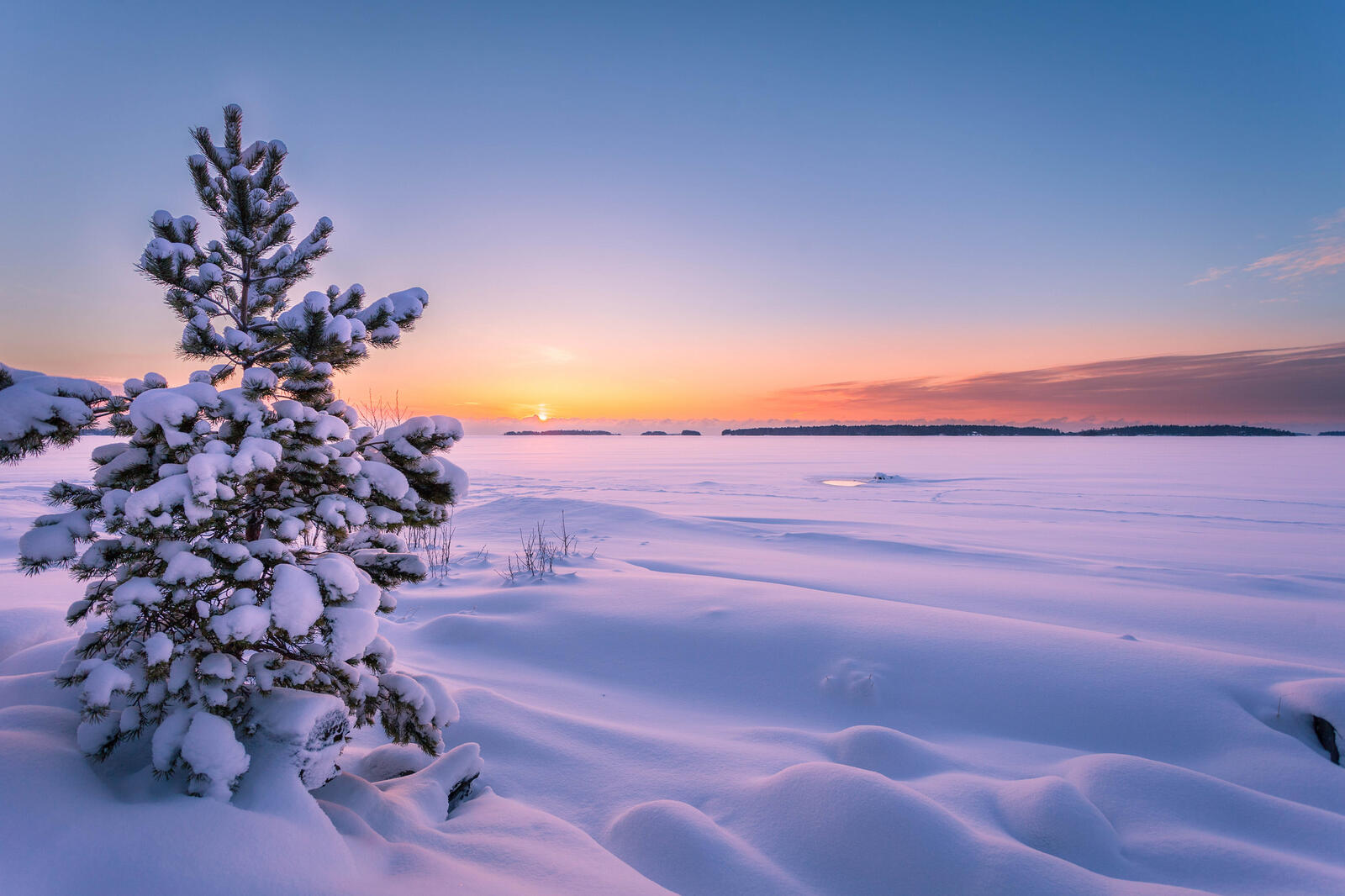 Бесплатное фото Большое зимнее поле на закате