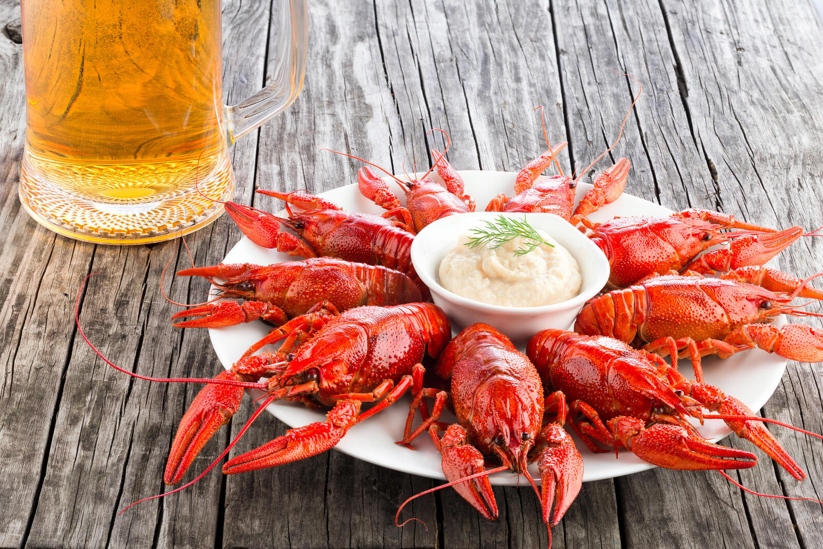 Wallpapers drink crawfish products on the desktop