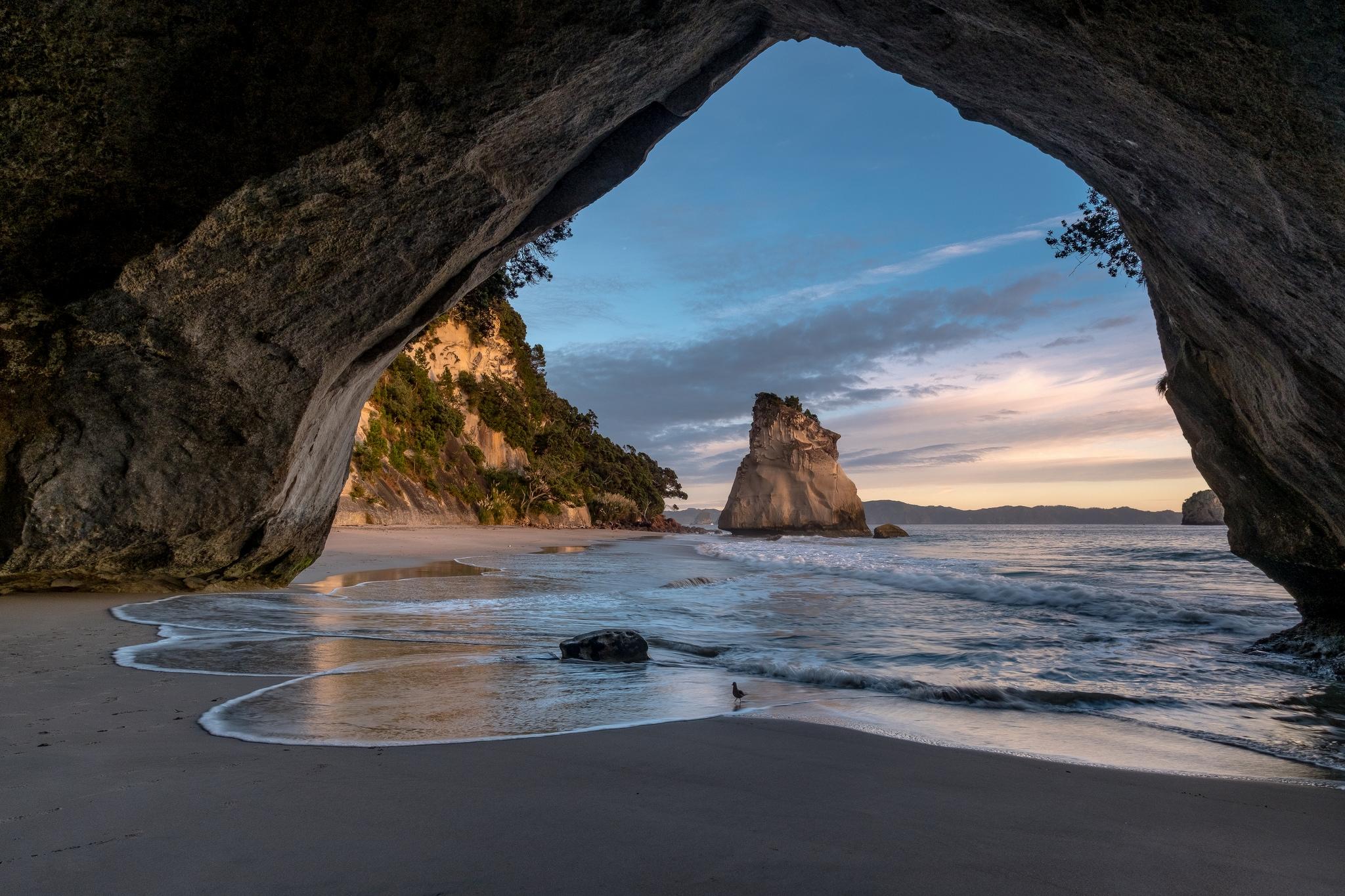 Новая Зеландия море природа побережье бесплатно