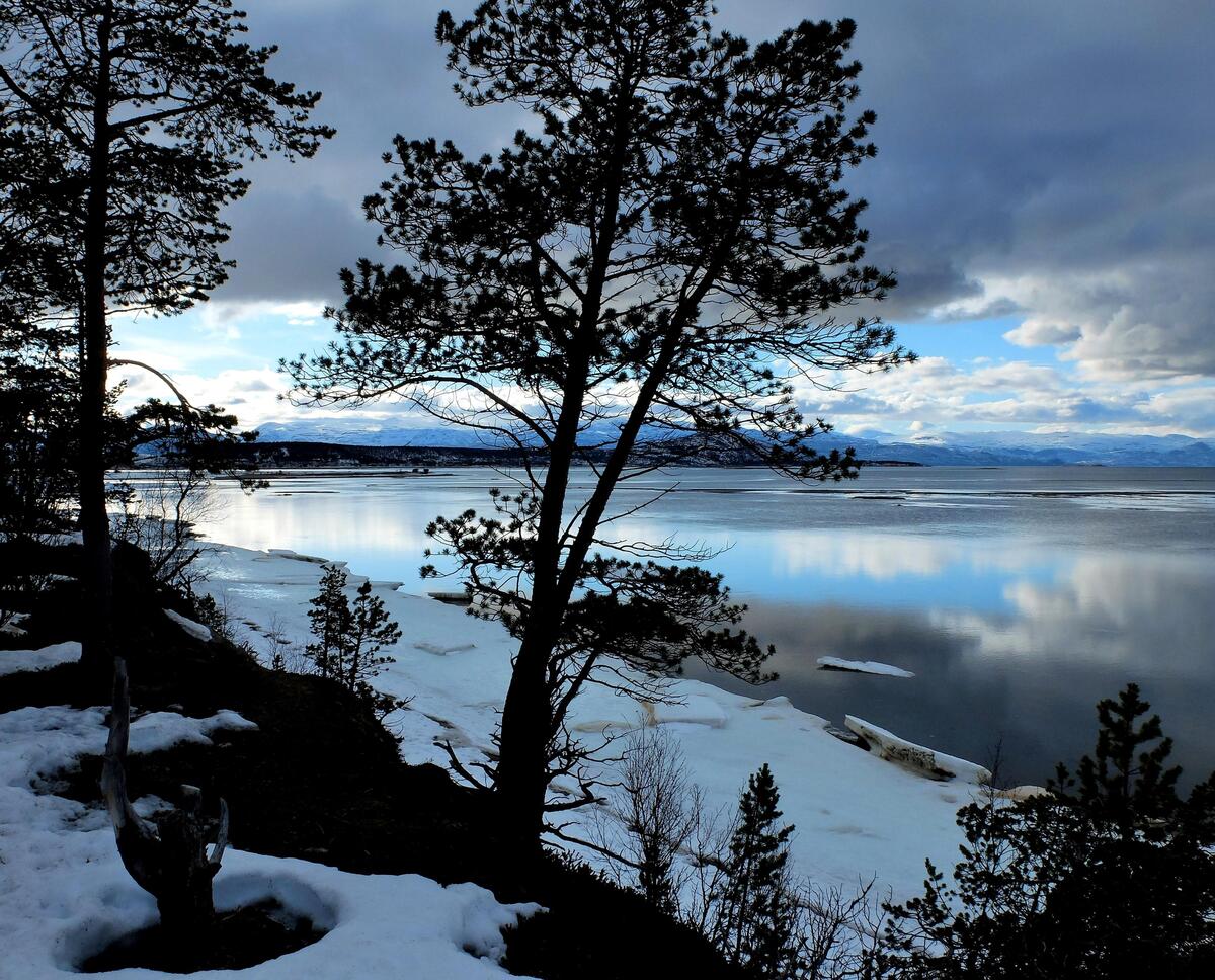 Картинка про зиму, озеро
