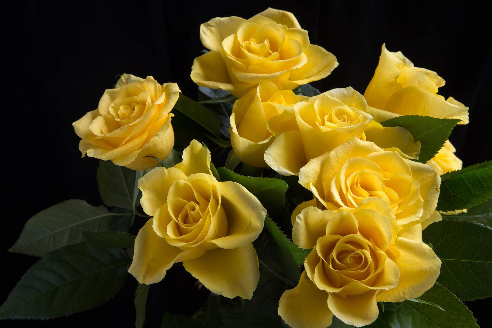 Обои желтый букет флора цветы на рабочий стол