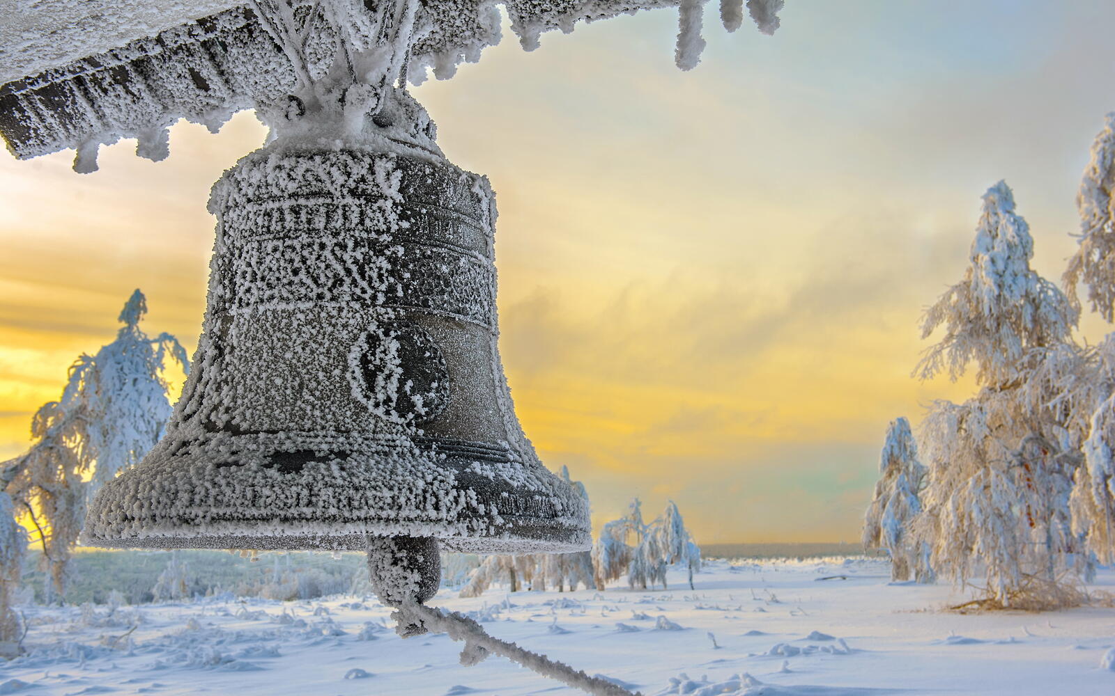 Wallpapers winter frost bell on the desktop
