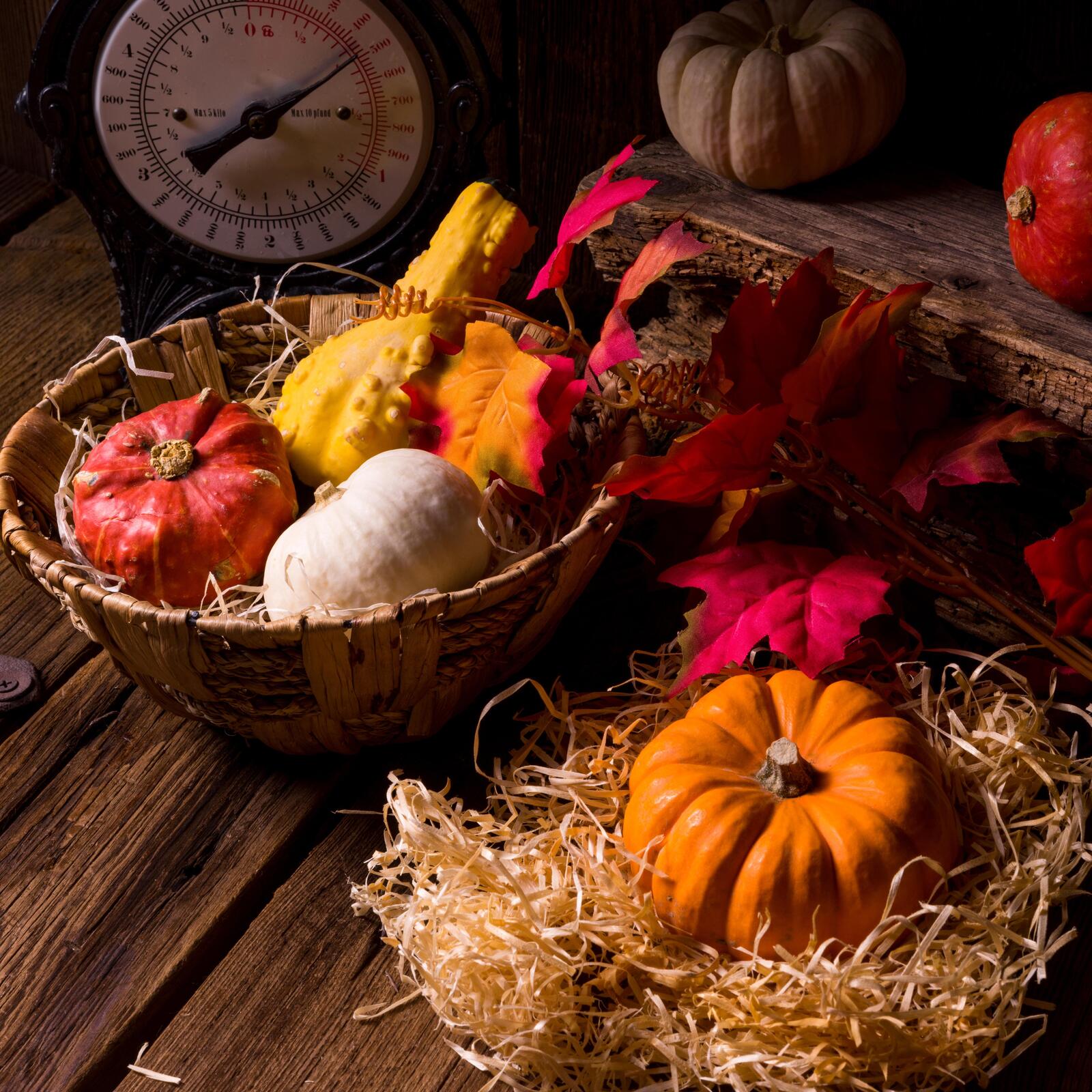 Free photo Pictures for autumn leaves, basket and without registration