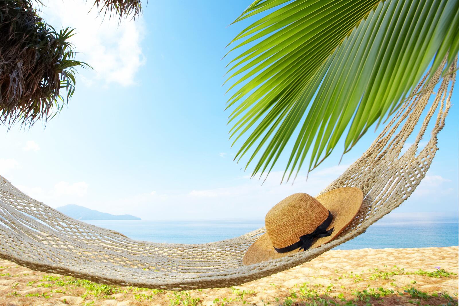 Wallpapers hammock on the beach palms ocean on the desktop