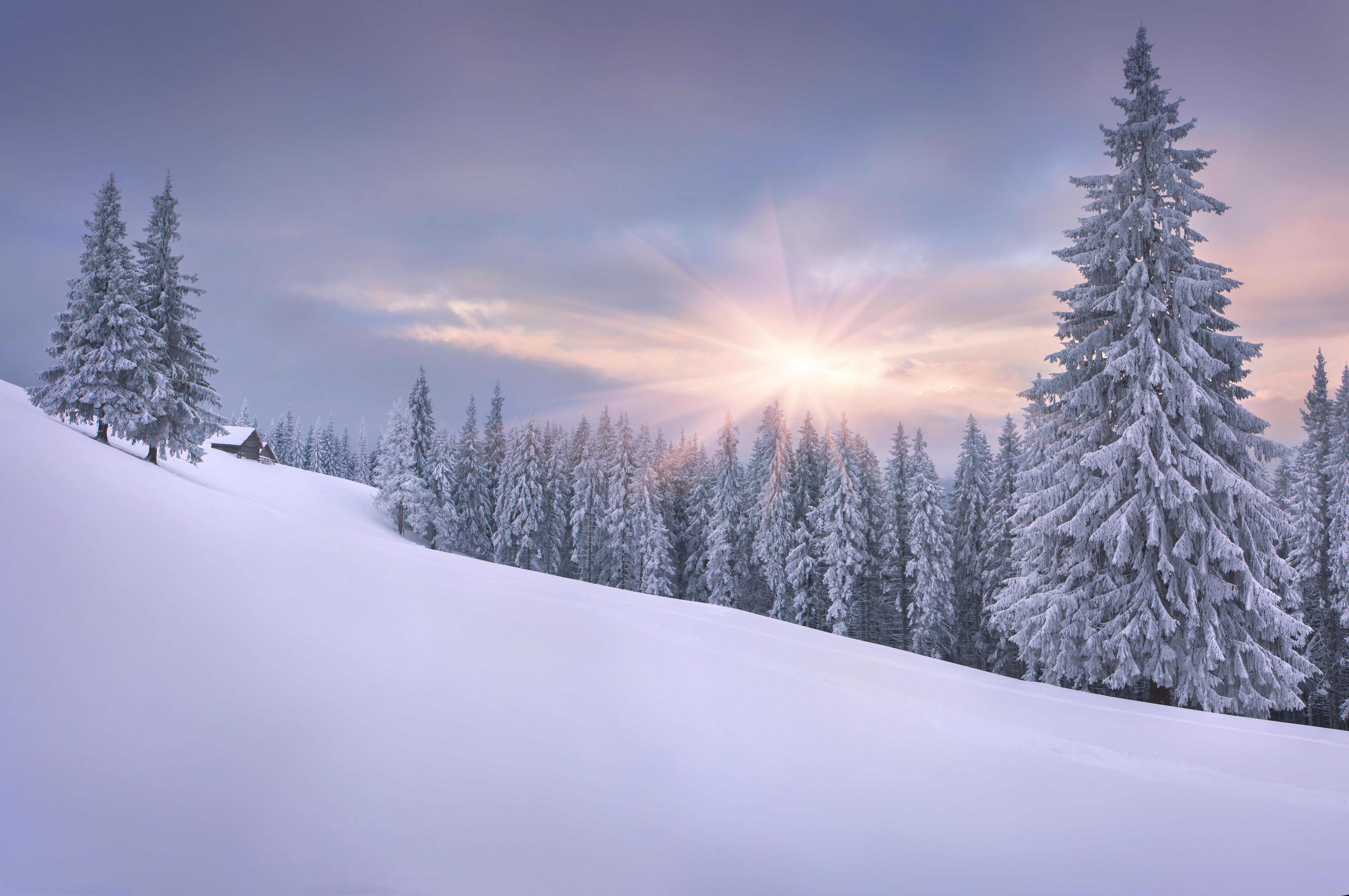Фото бесплатно снег, снег на елках, елка