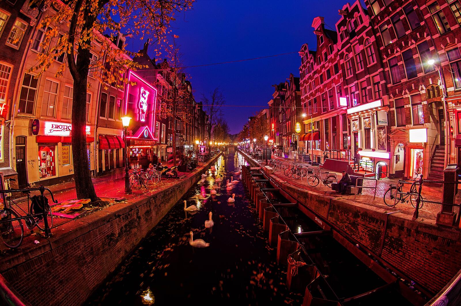 桌面上的壁纸荷兰 全景图 荷兰的首都和最大的城市