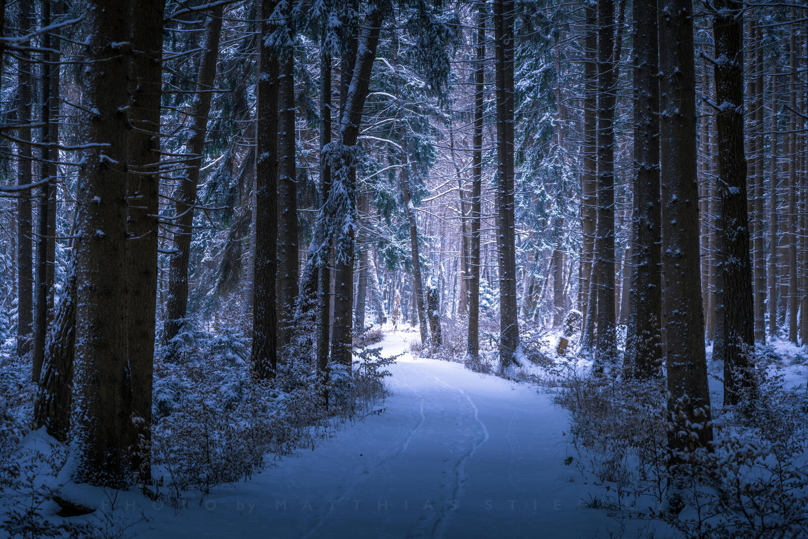 Обои зима снег дорога по лесу на рабочий стол