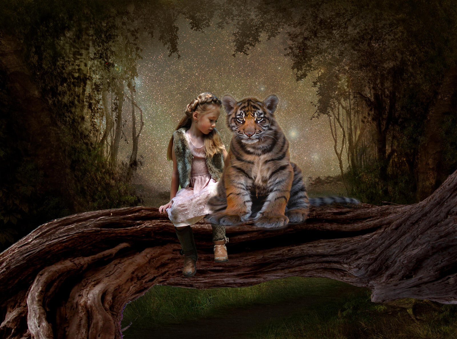 Wallpapers girl tiger art on the desktop
