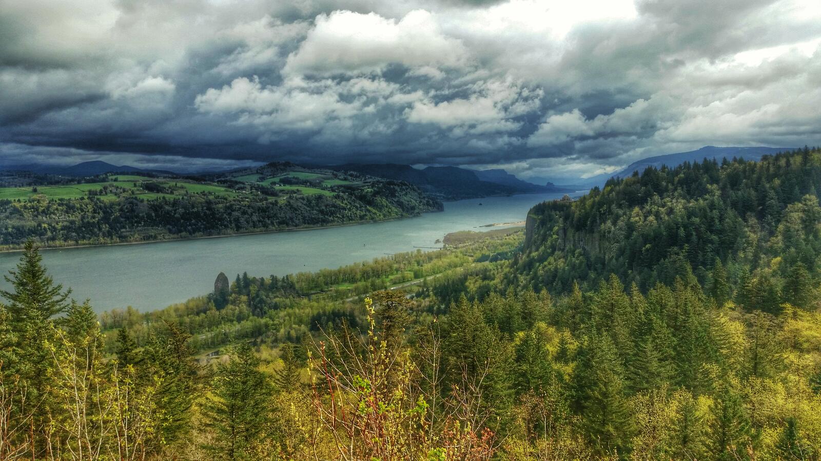 Wallpapers trees Columbia Gorge landscape on the desktop