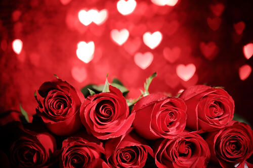 A bouquet of red roses for Valentine`s Day.