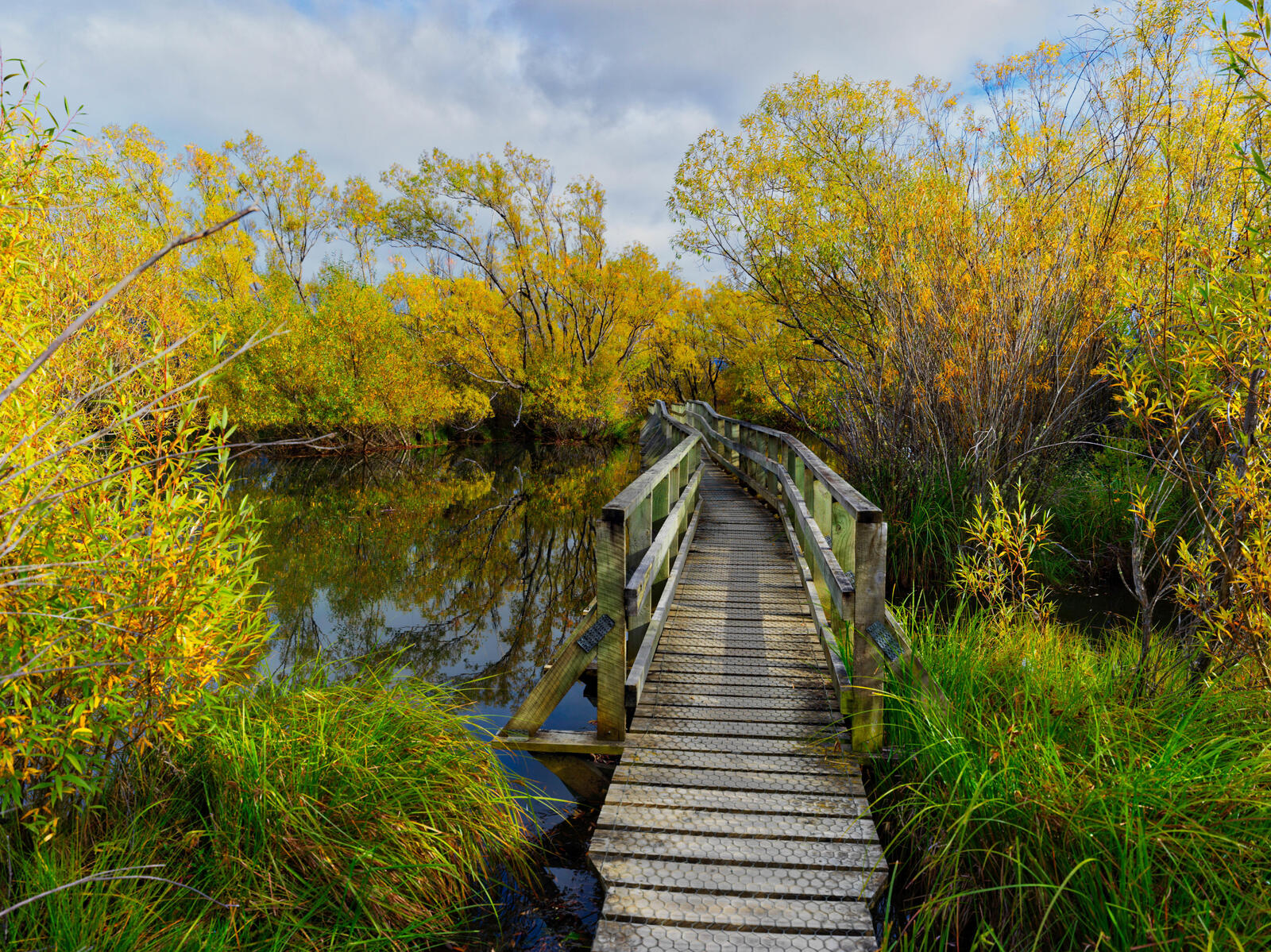 Free photo Beautiful pictures of the bridge, pond free download