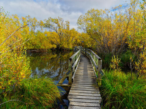 Beautiful pictures of the bridge, pond free download