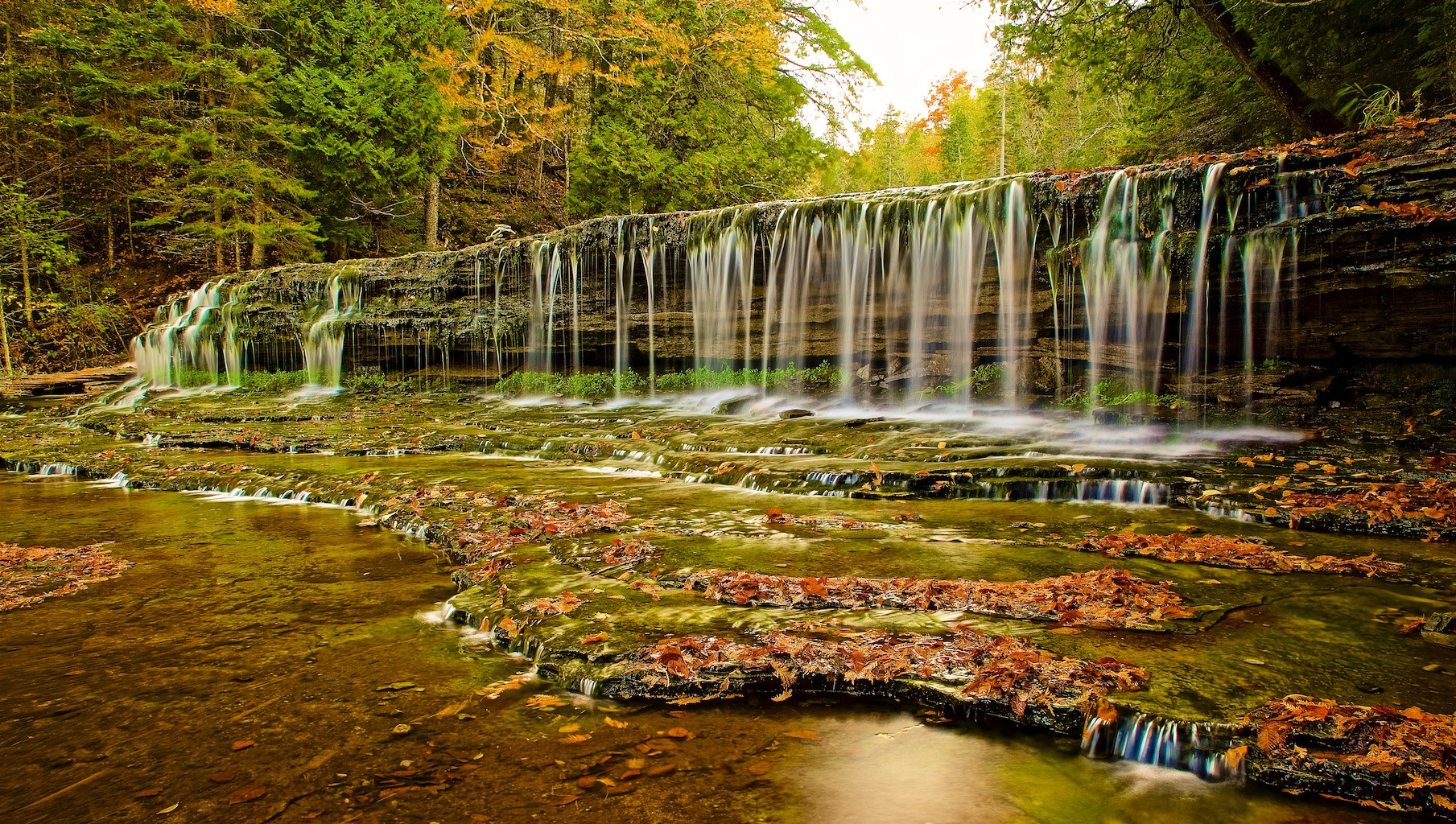 Wallpapers autumn forest nature waterfall on the desktop