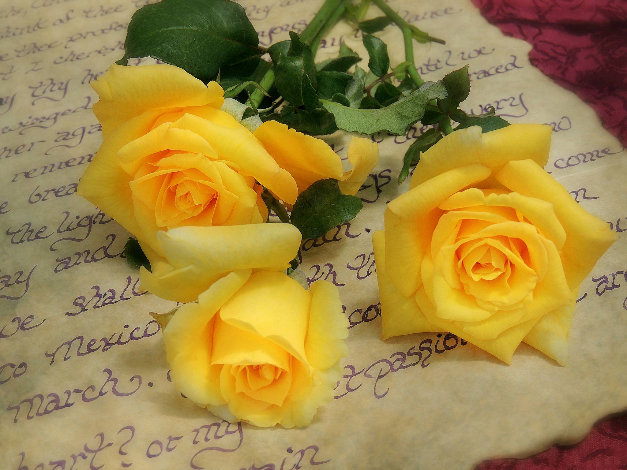 桌面上的壁纸鲜花 玫瑰 书信