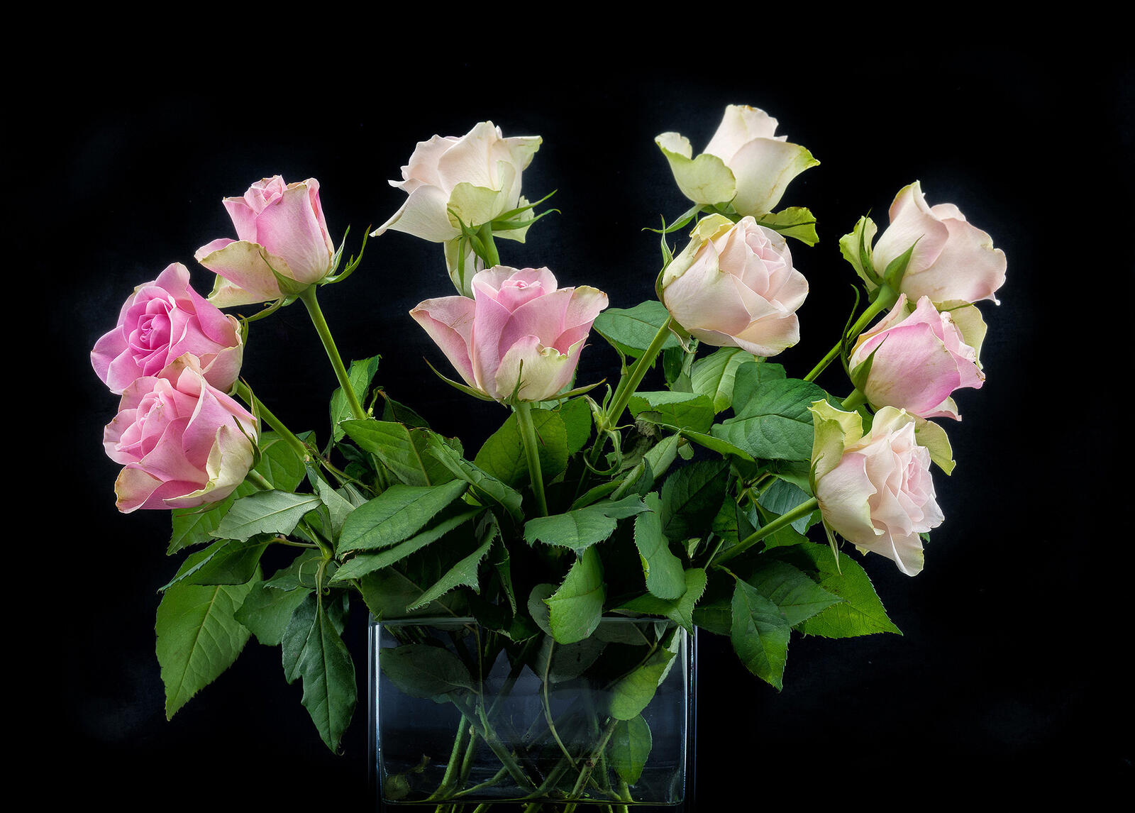 Обои розы роза букет цветов на рабочий стол