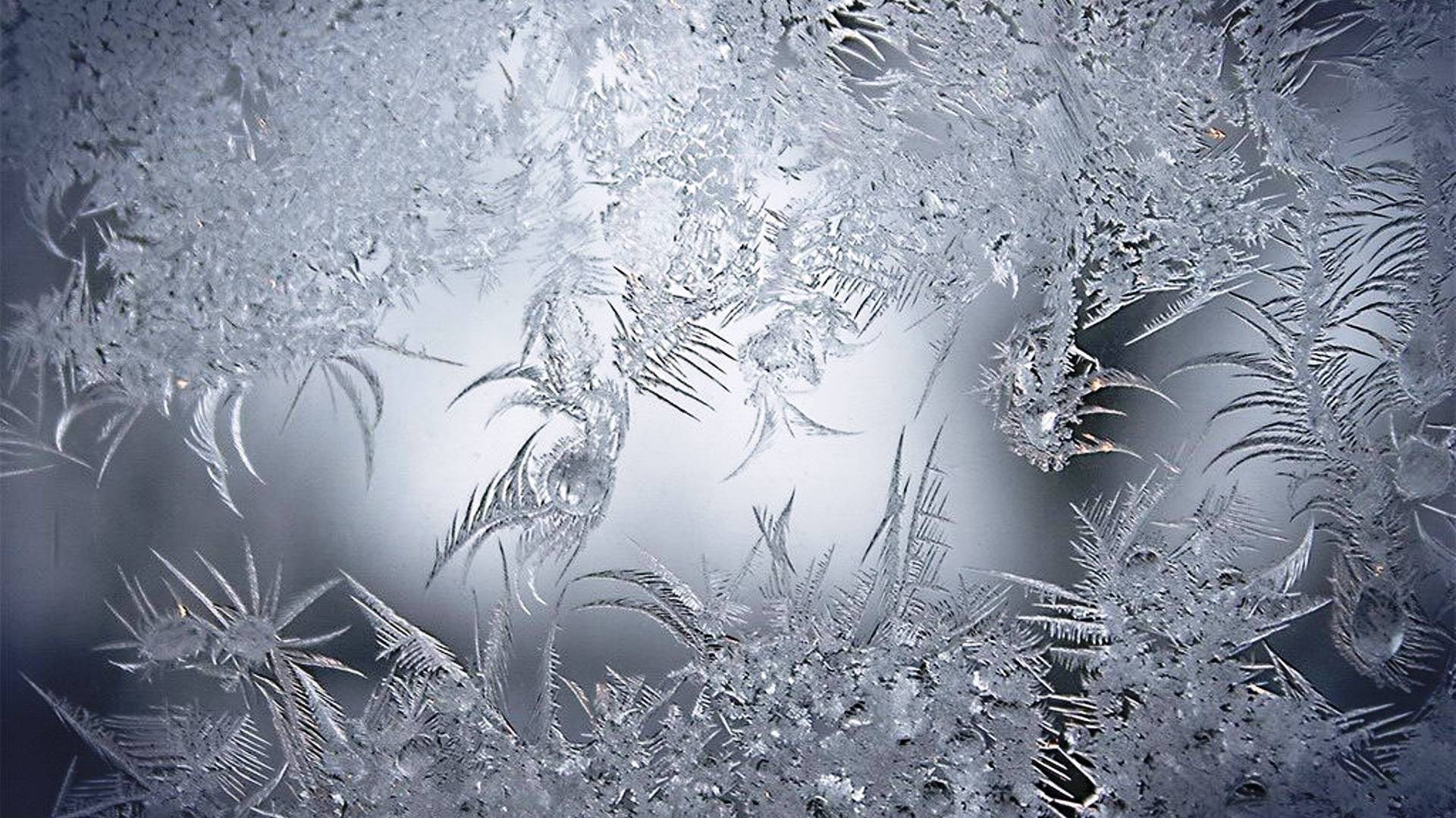 Wallpapers glass icing ice on the desktop