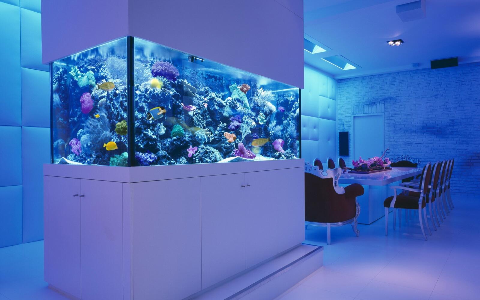 Обои комната аквариум рыбы на рабочий стол
