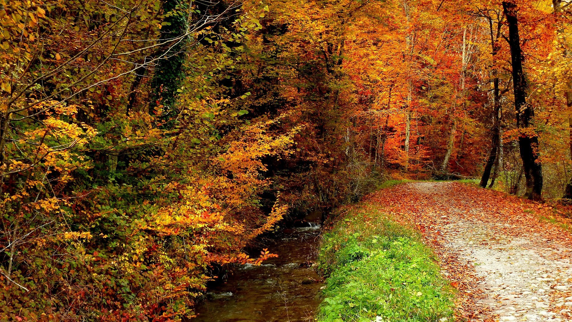 Фото бесплатно гравийная дорога, пейзажи, осень