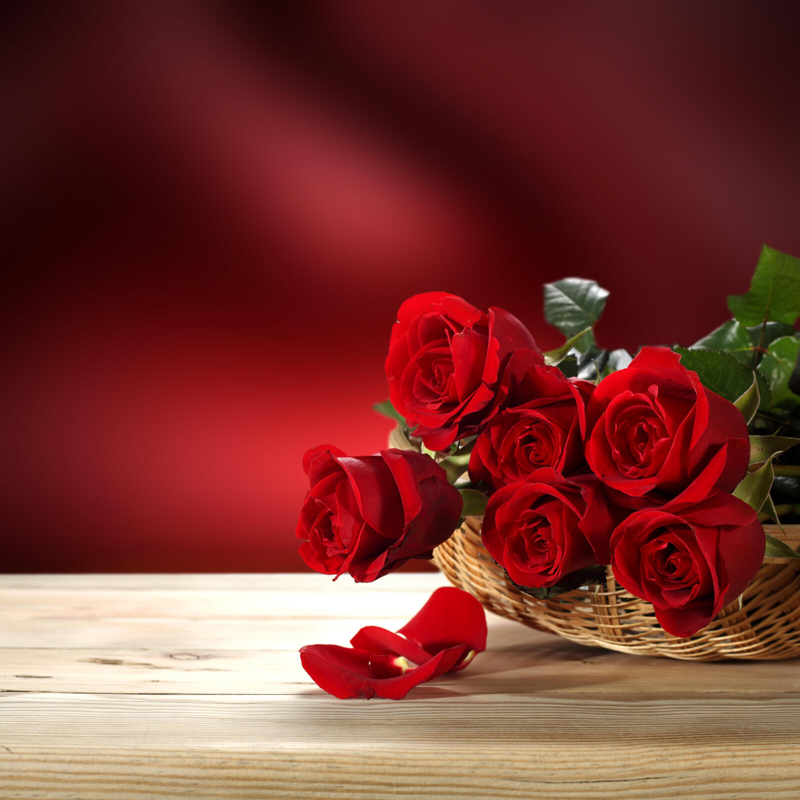 桌面上的壁纸植物群 玫瑰 美丽的花朵