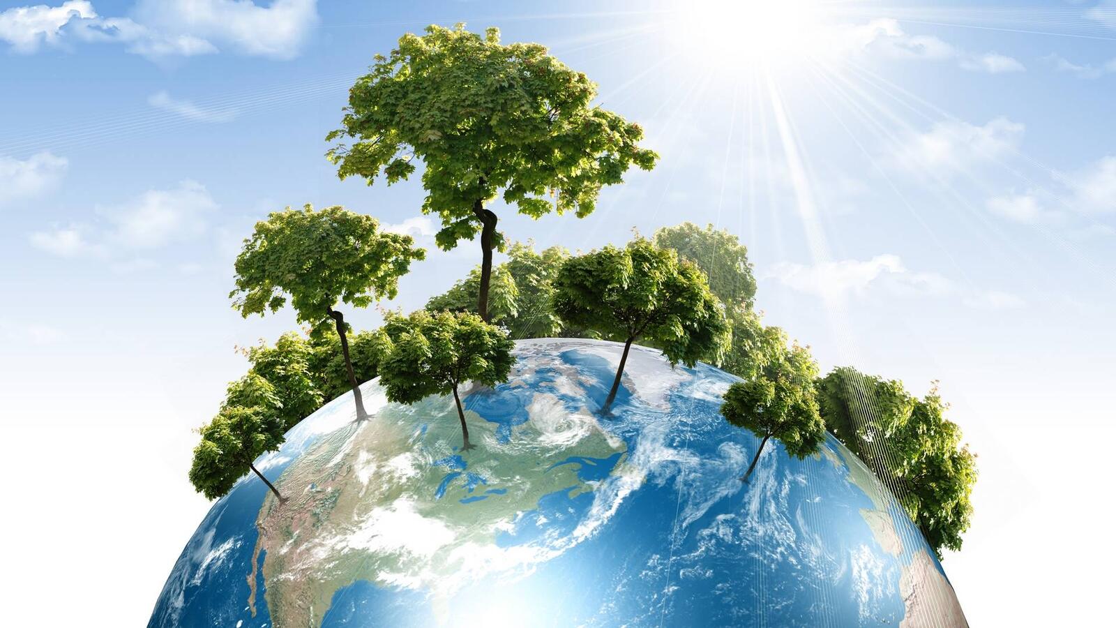 Обои планета Земля деревья солнце на рабочий стол