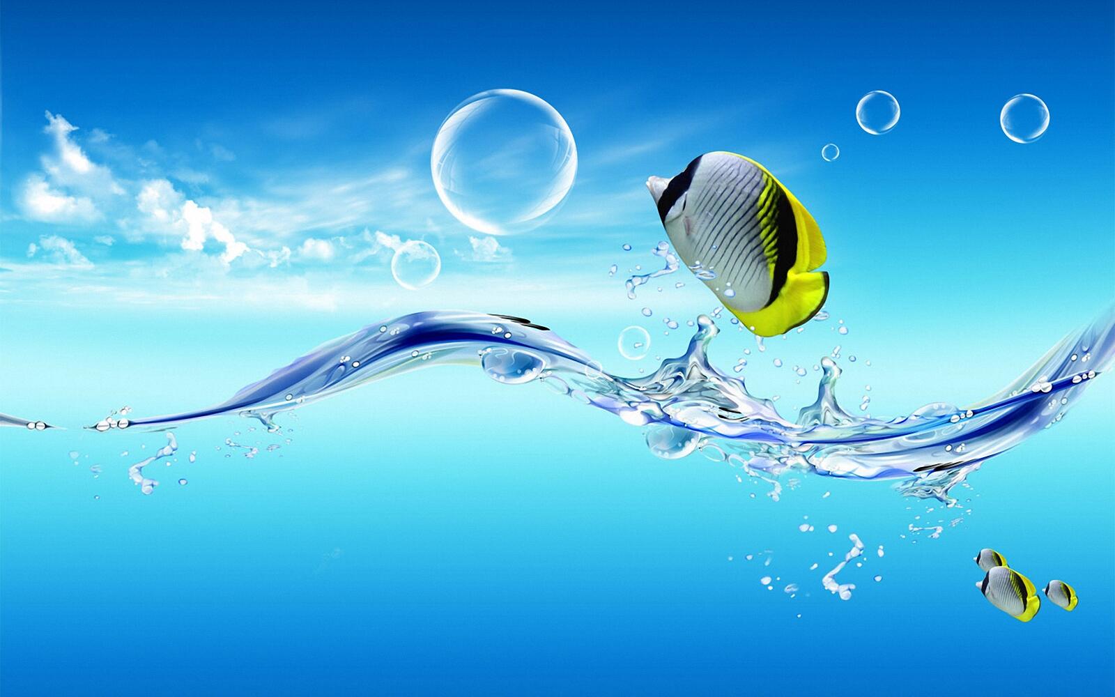 Wallpapers fish water bubbles on the desktop