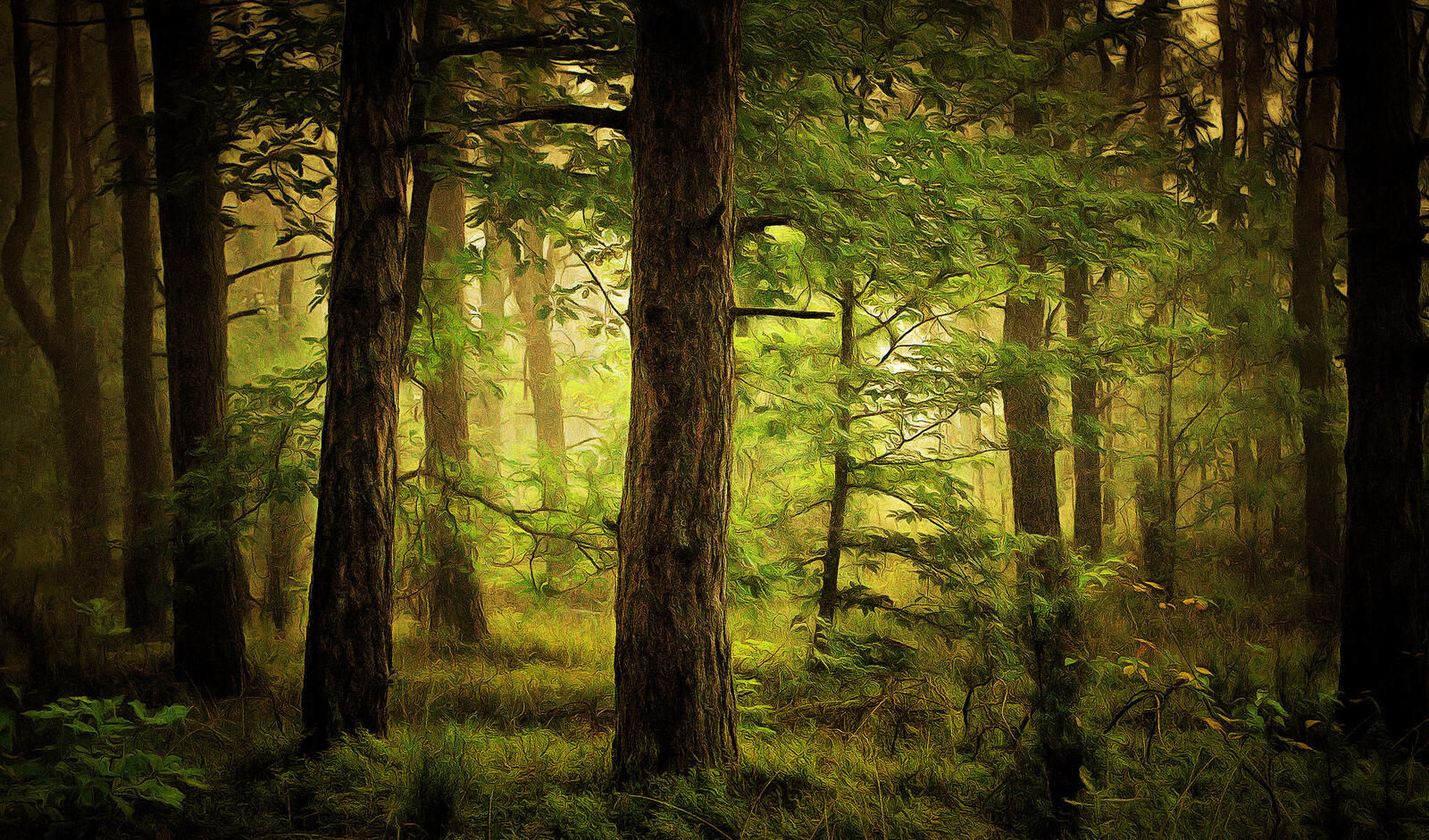 Wallpapers forest art trees on the desktop