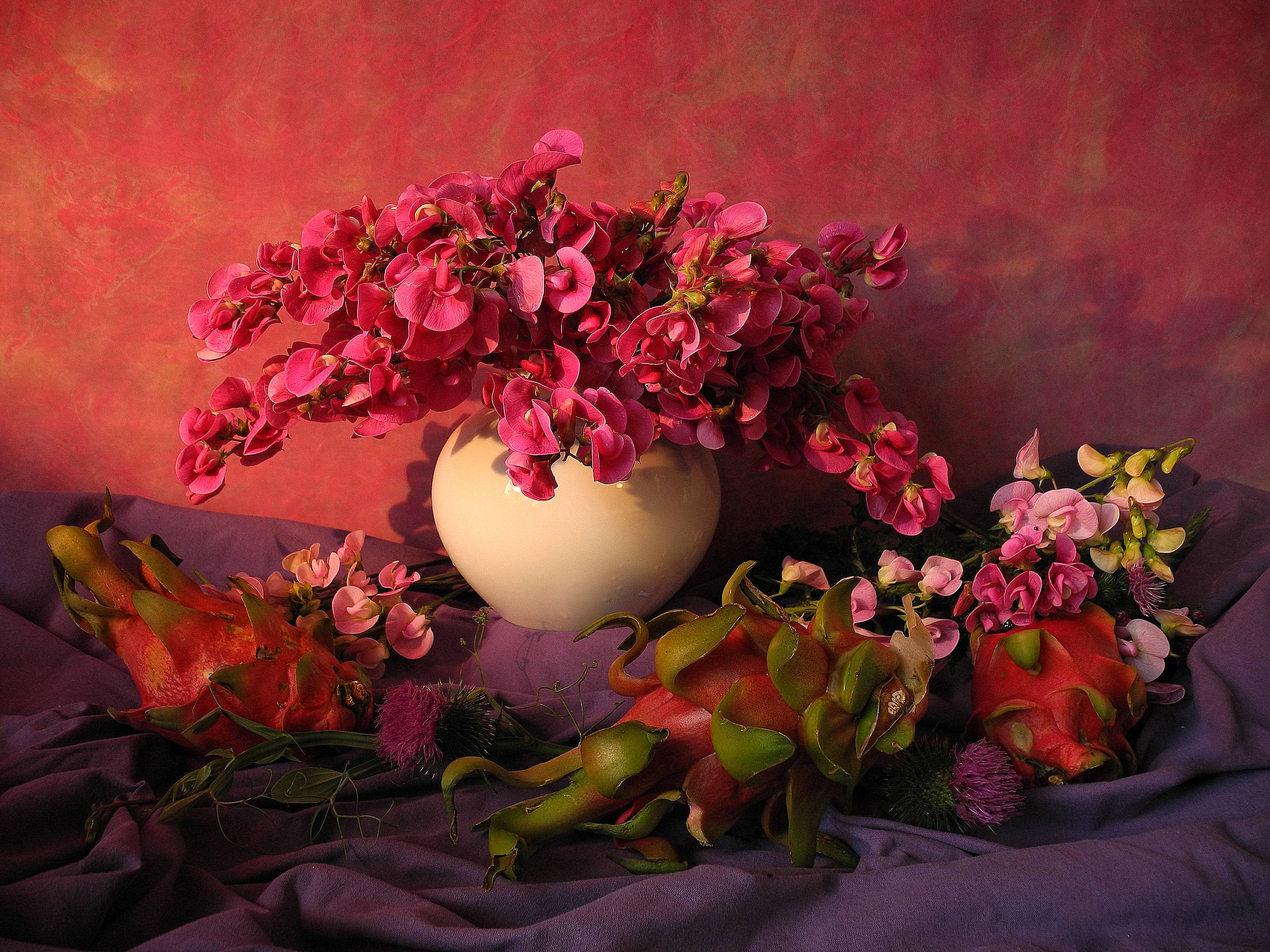 Обои цветы орхидеи ваза на рабочий стол