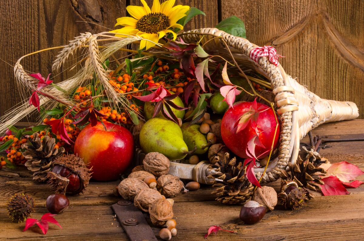 Free autumn composition of vegetables and fruits, cones - new photos