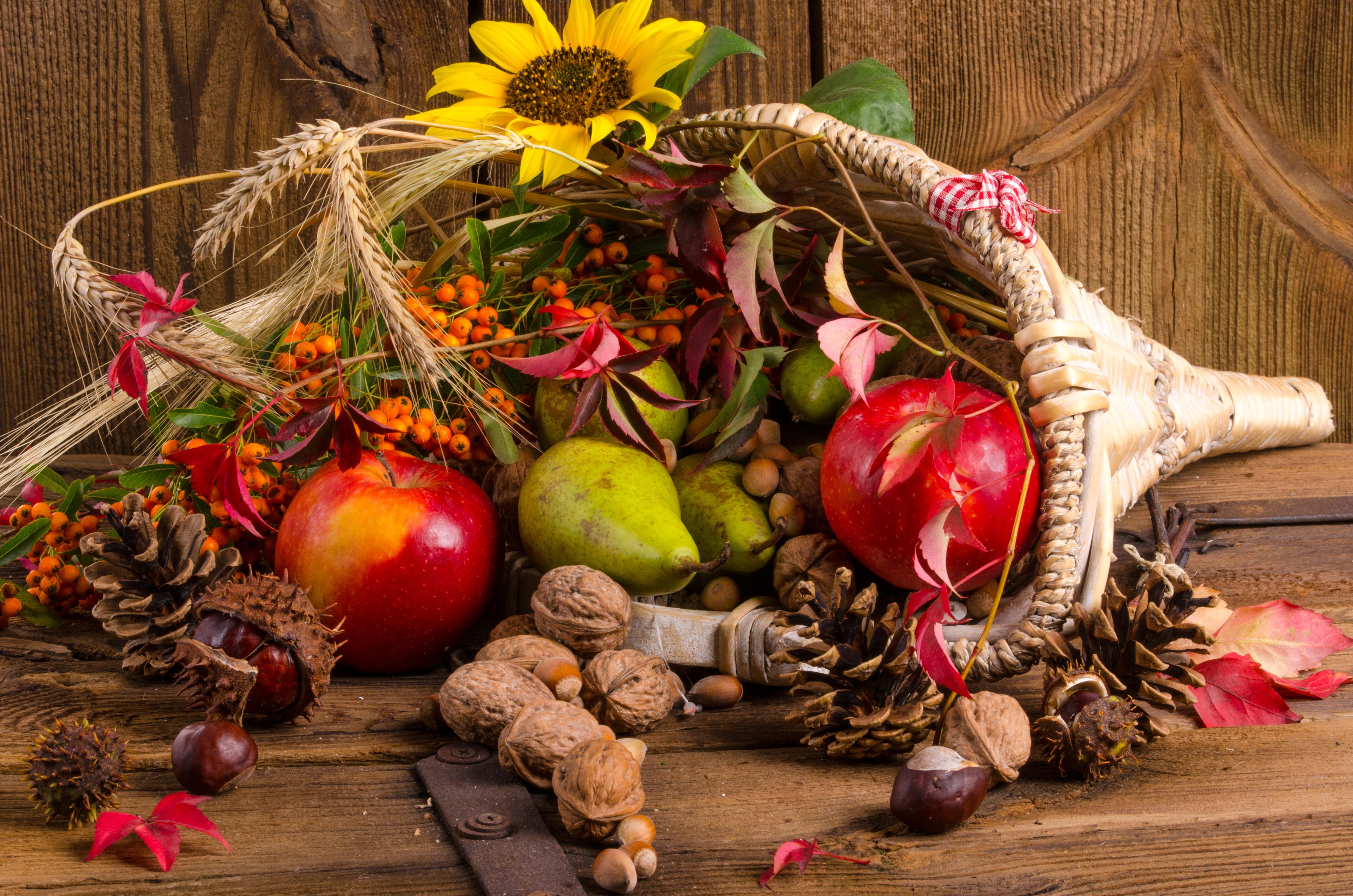 Бесплатное фото Бесплатно осенняя композиция из овощей и фруктов, шишки - фото новые