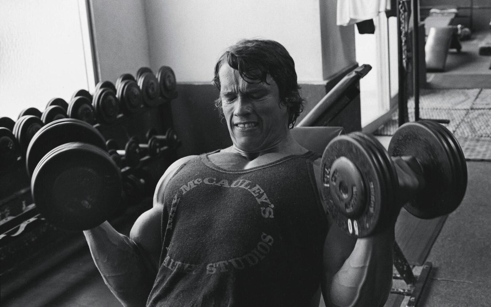 Wallpapers Arnold Schwarzenegger bodybuilder actor on the desktop