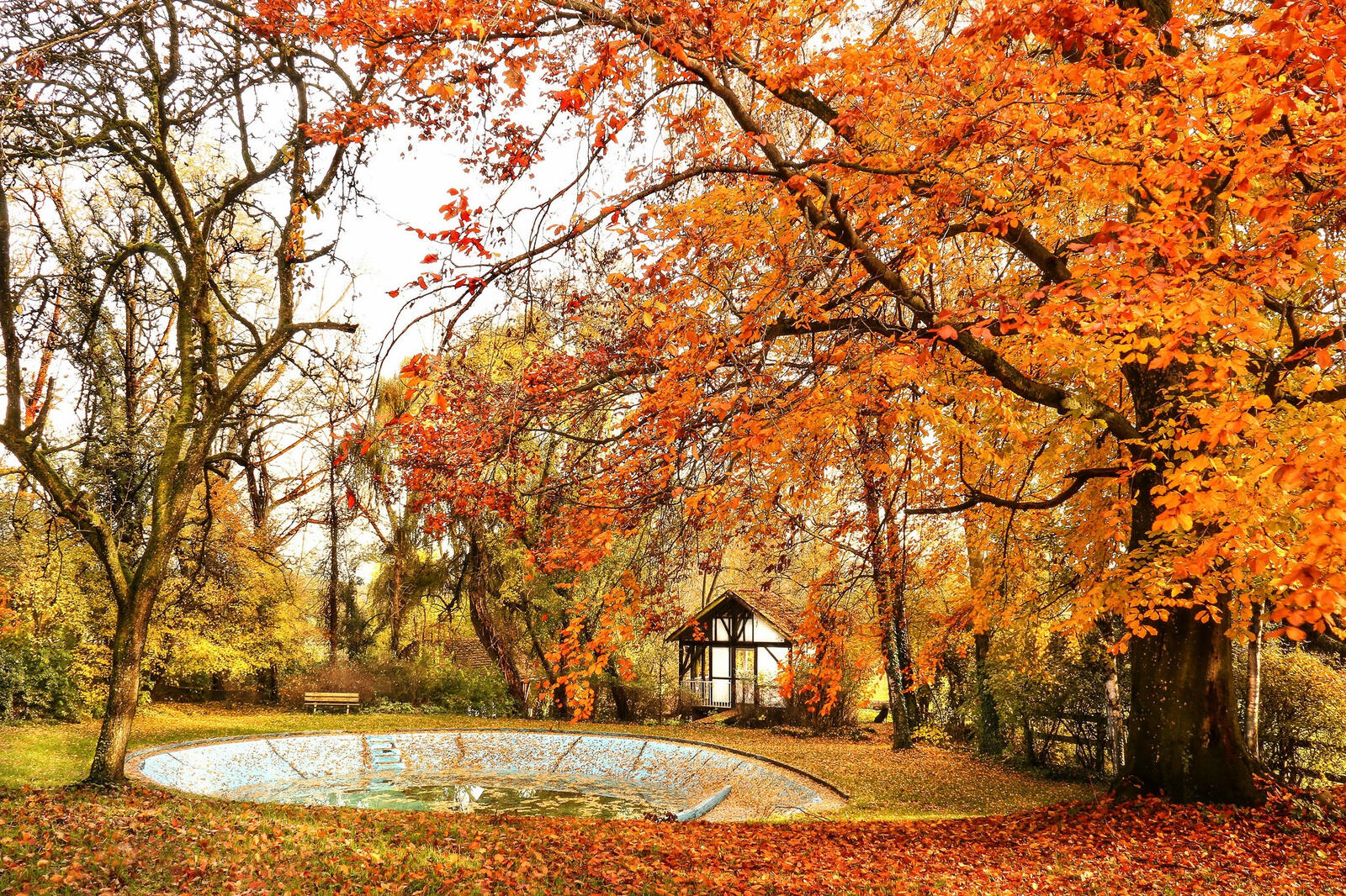桌面上的壁纸巴登符腾堡州 城堡公园 秋季