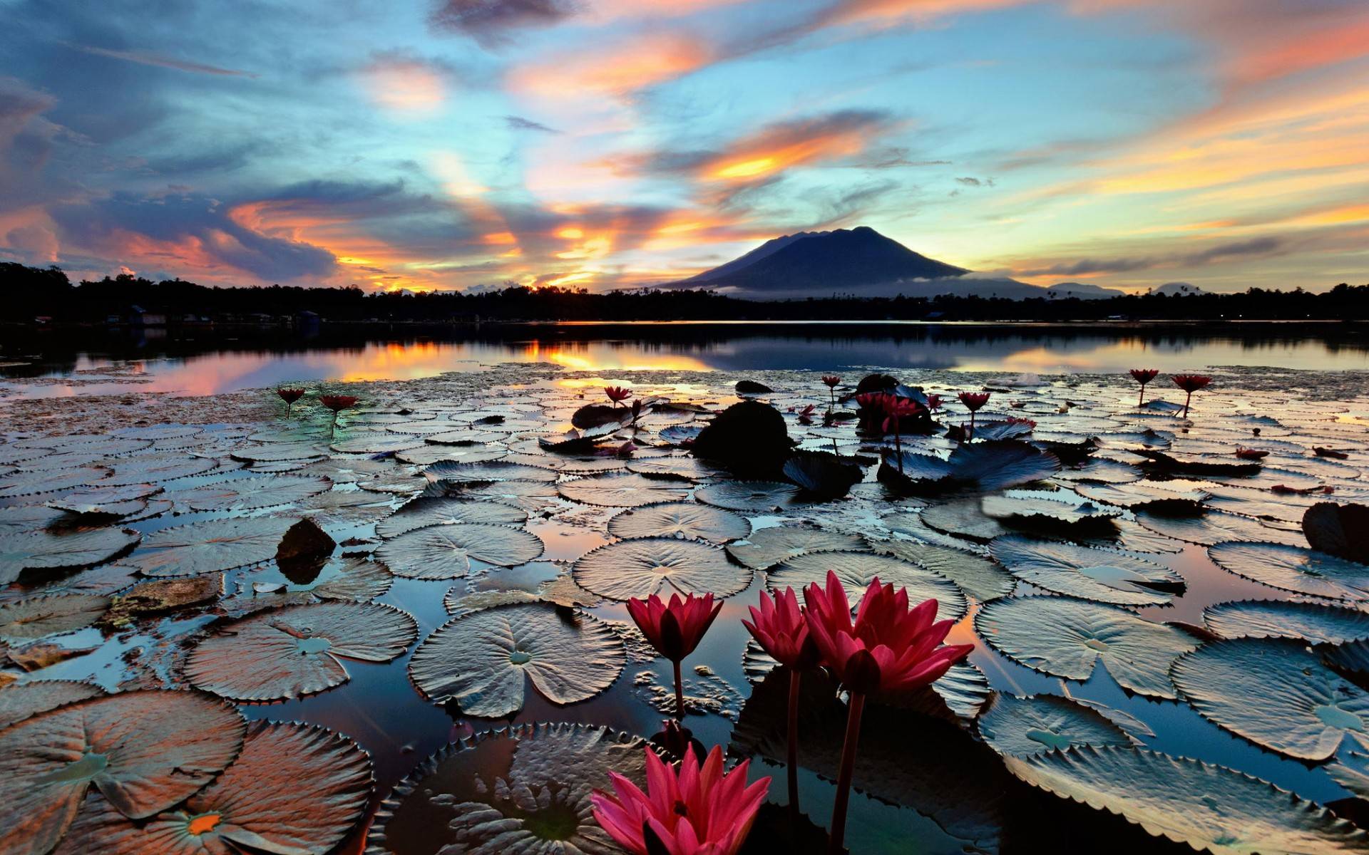 Wallpapers water lilies lake volcano on the desktop