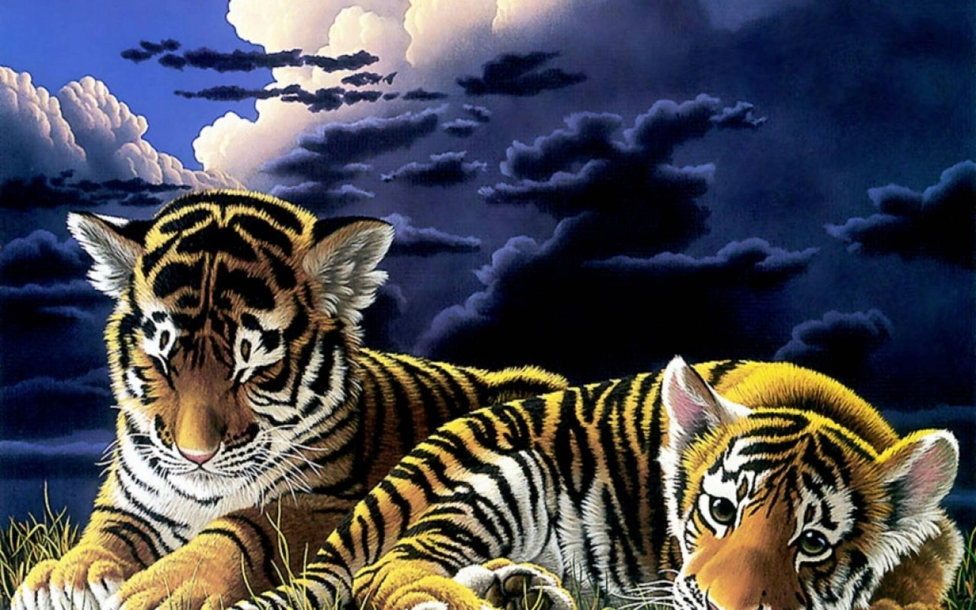 Wallpapers drawing tigers kittens on the desktop