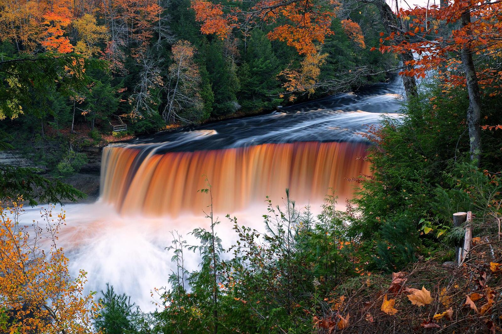 Wallpapers upper tahquamenon falls forest river on the desktop
