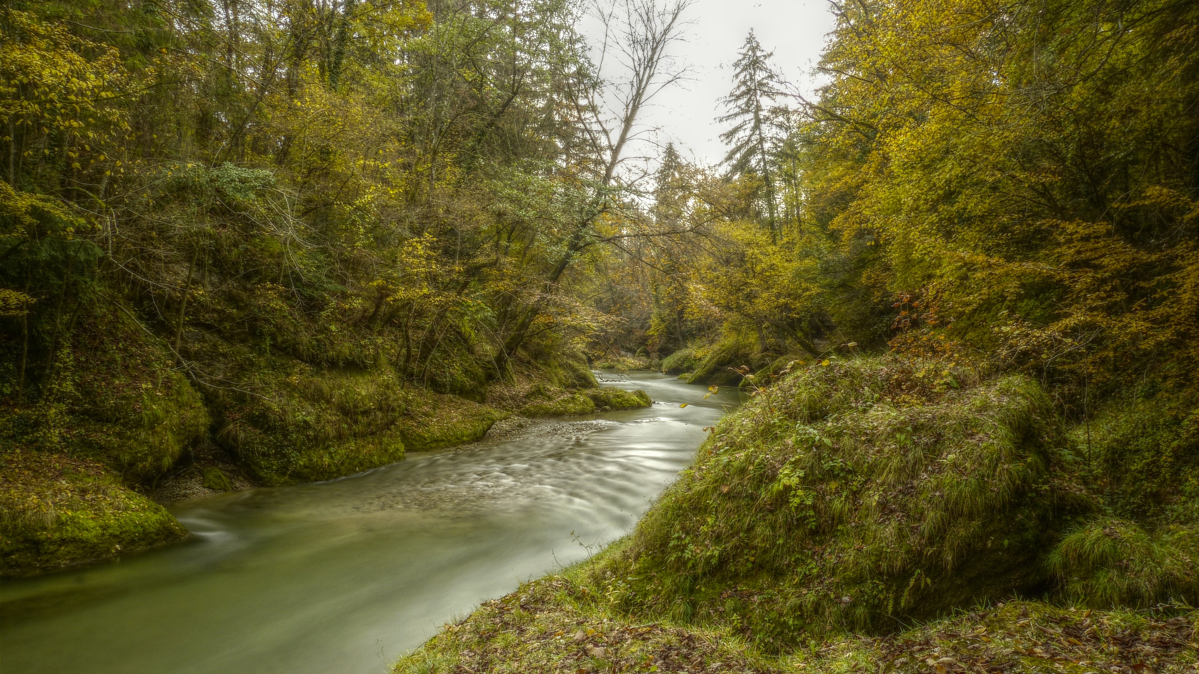 Скворенушка небольшая лесная речонка. Лесная река. Река Лесная Калининград. Скворенушка небольшая Лесная река. Природа зелень озеро.