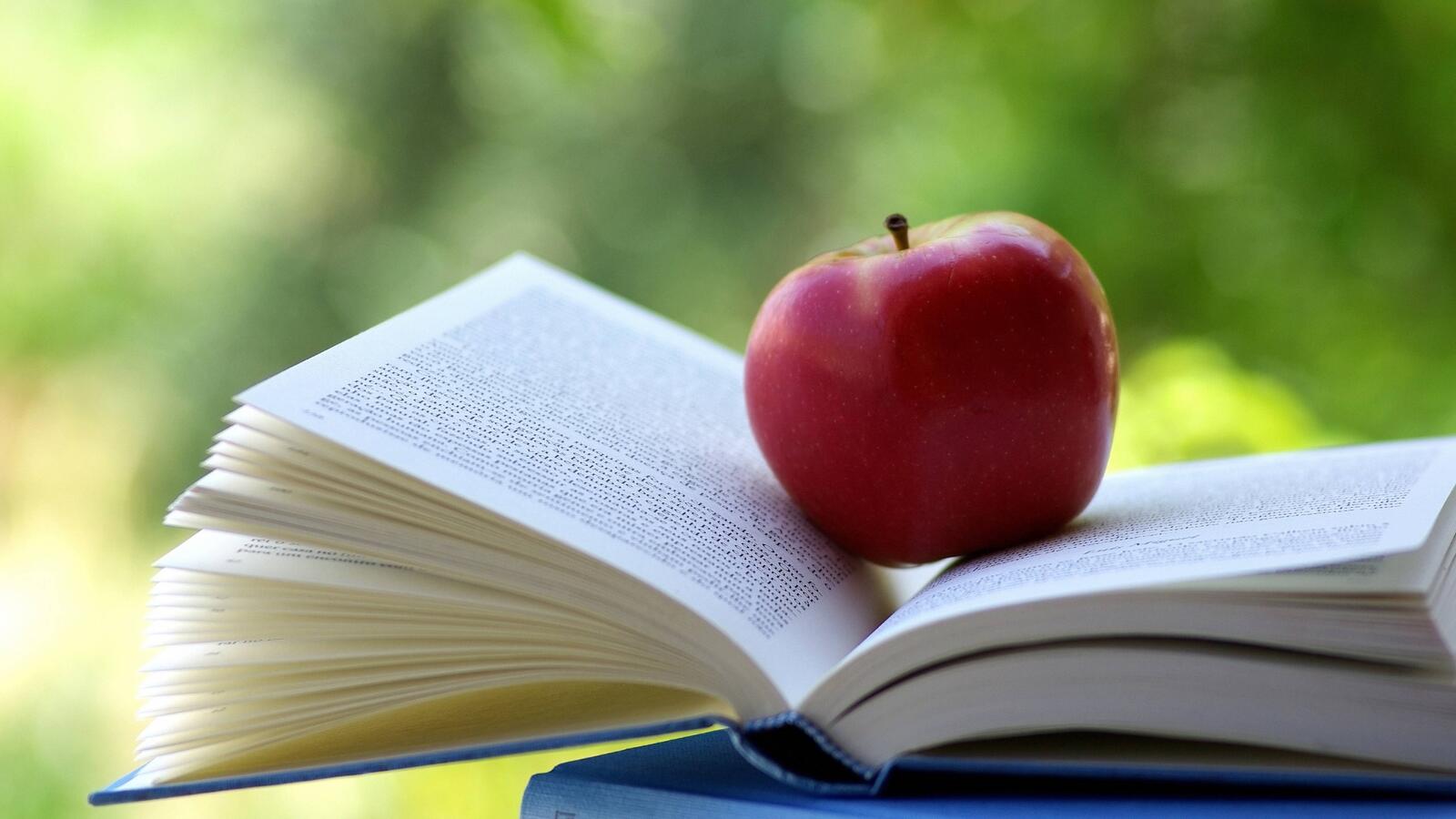 Обои яблоко книга чтение на природе на рабочий стол
